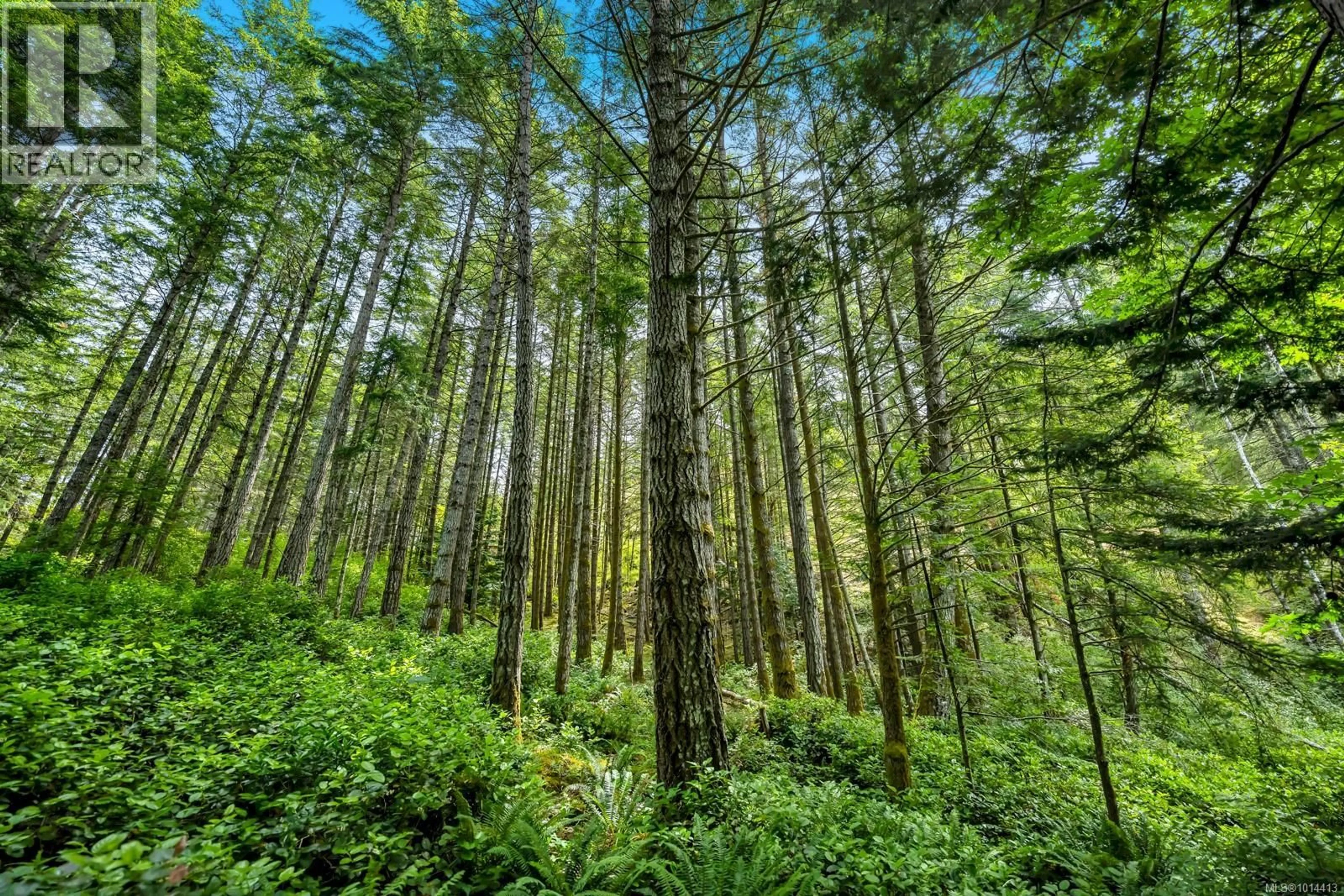 Blurry image for 4440 SPELLMAN PLACE, Metchosin British Columbia V9C4C5
