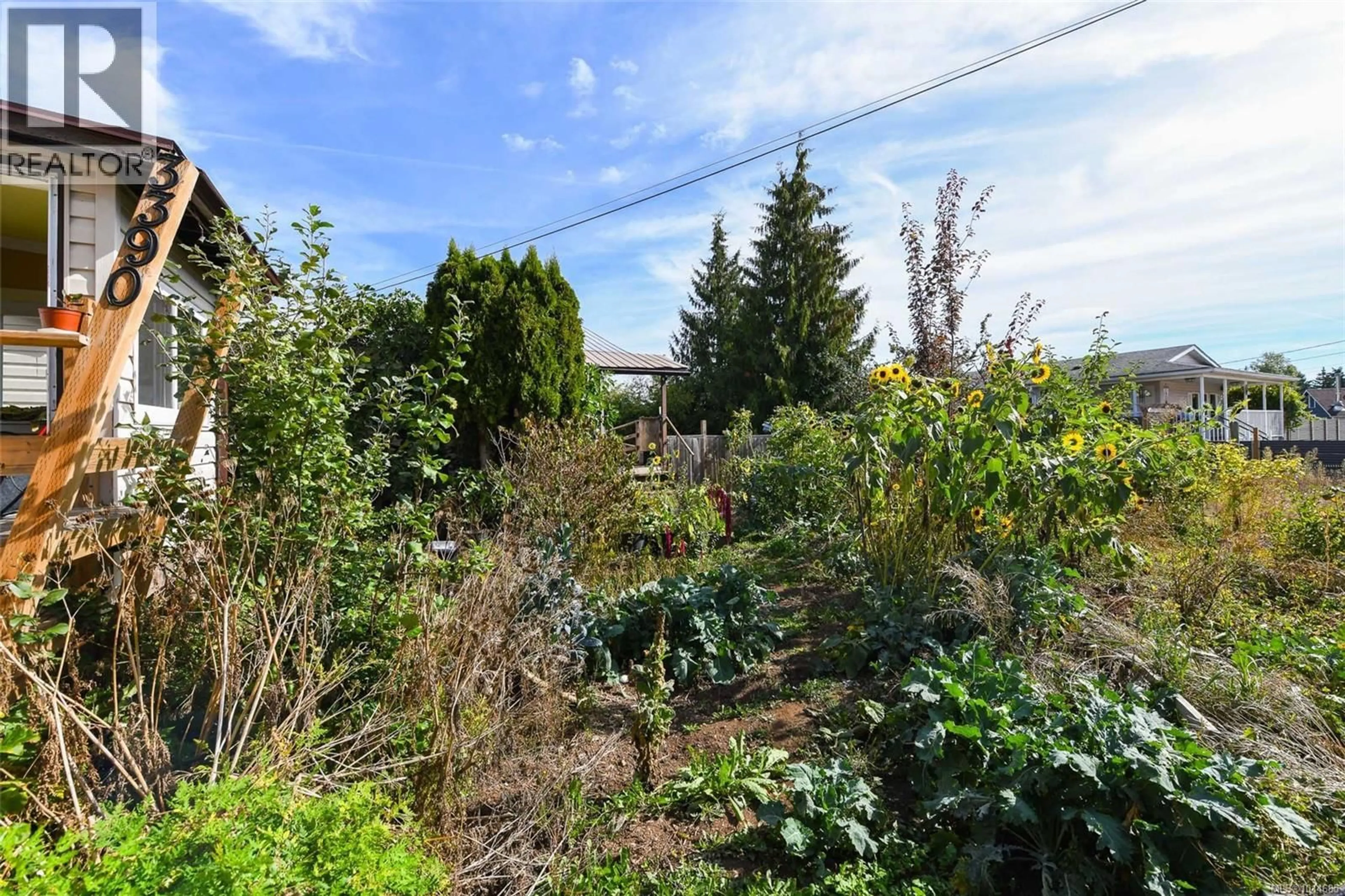 A pic from outside/outdoor area/front of a property/back of a property/a pic from drone, unknown for 3390 NIKKEI PLACE, Cumberland British Columbia V0R1S0