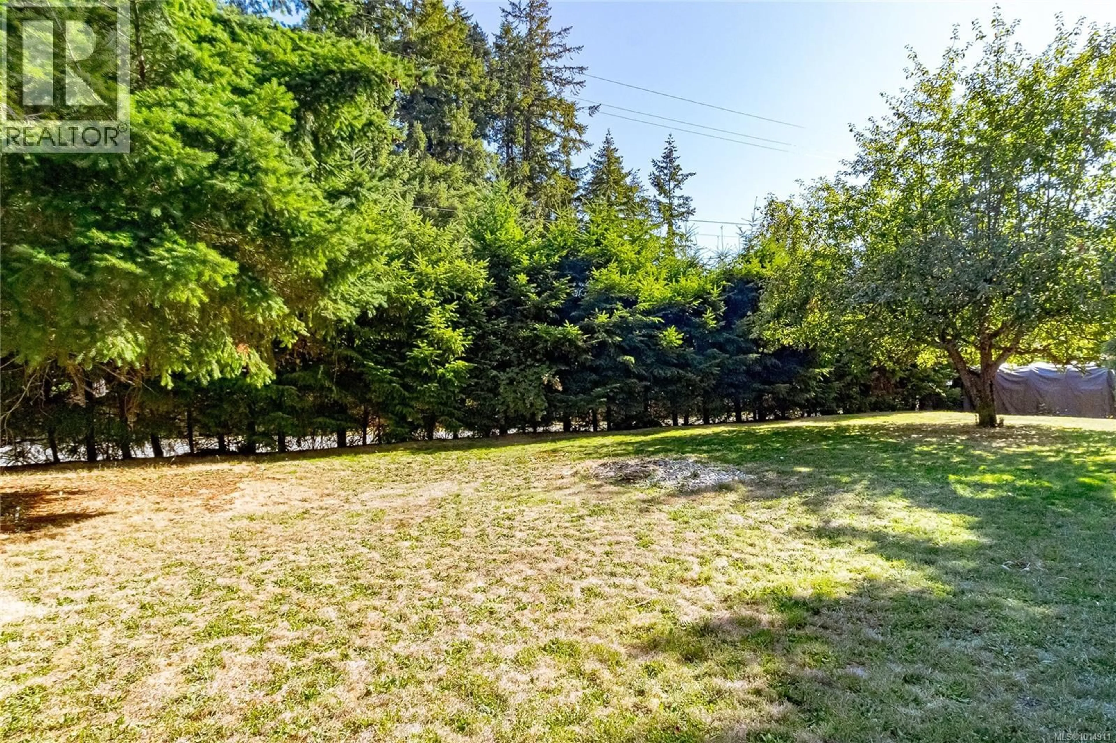 A pic from outside/outdoor area/front of a property/back of a property/a pic from drone, forest/trees view for 160 COMIAKEN AVENUE, Lake Cowichan British Columbia V0R2G0