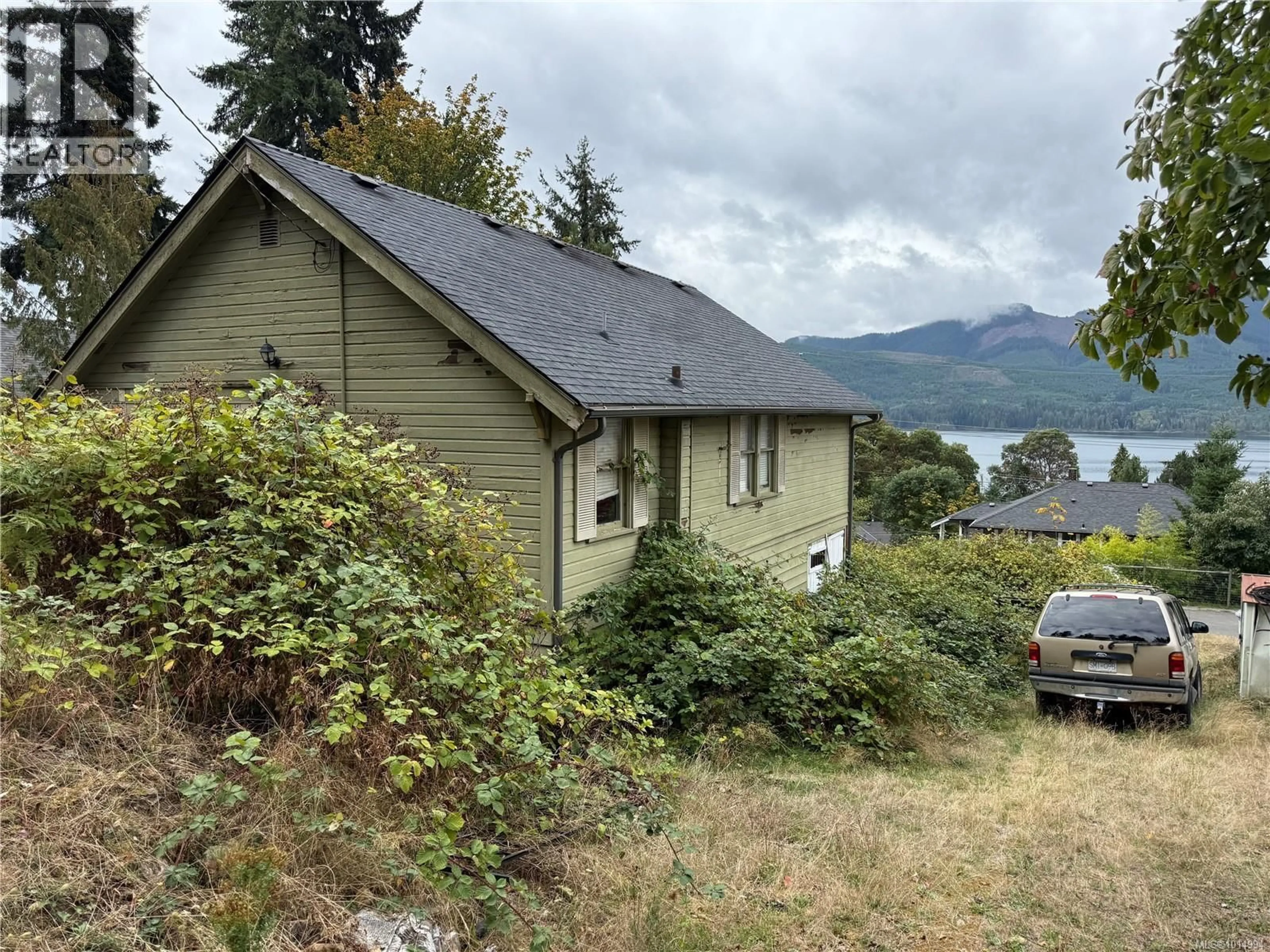 A pic from outside/outdoor area/front of a property/back of a property/a pic from drone, mountain view for 10667 CEDAR DRIVE, Youbou British Columbia V0R3E1