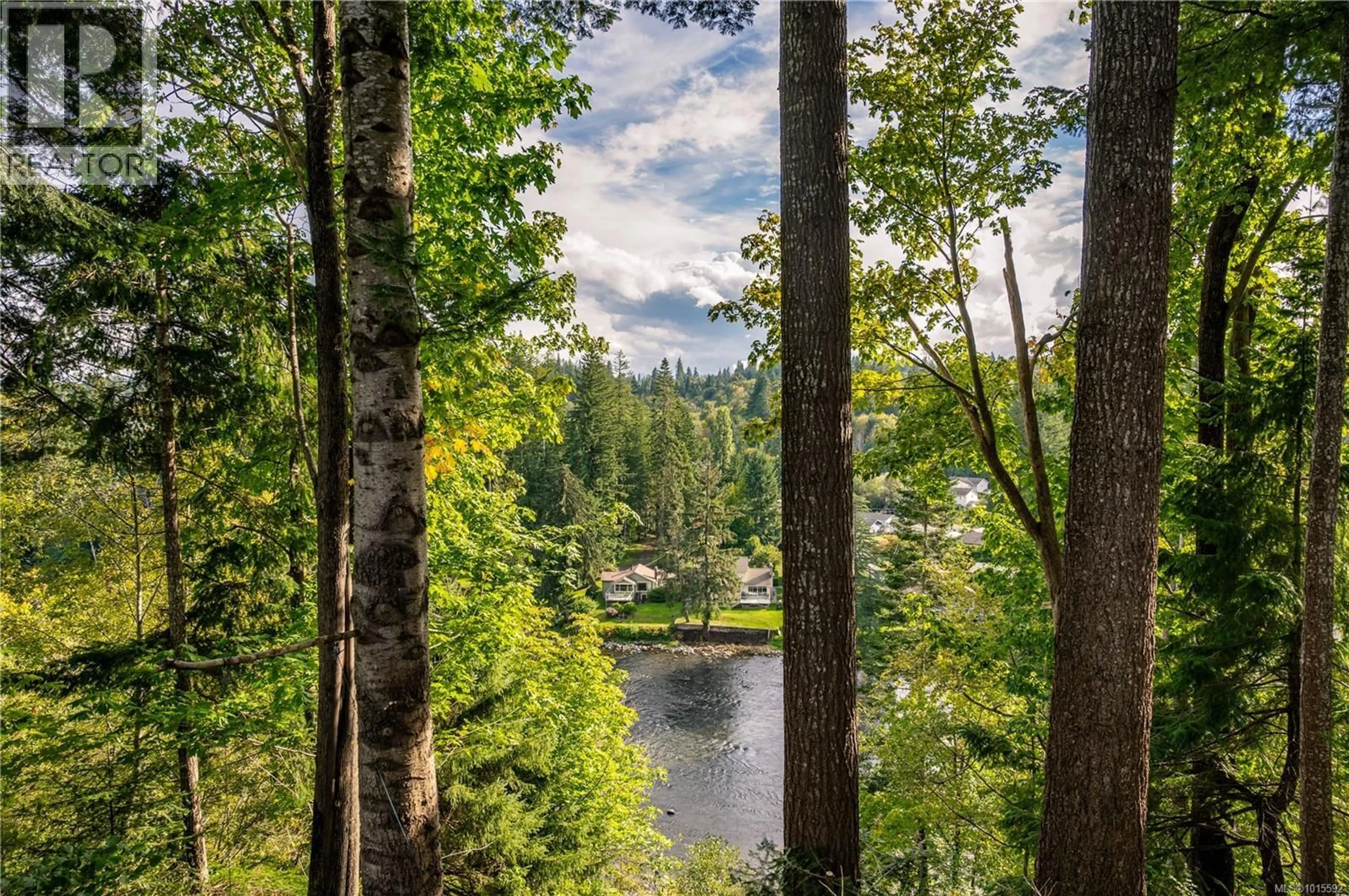 A pic from outside/outdoor area/front of a property/back of a property/a pic from drone, forest/trees view for 2371 STEELHEAD ROAD, Campbell River British Columbia V9W4P4
