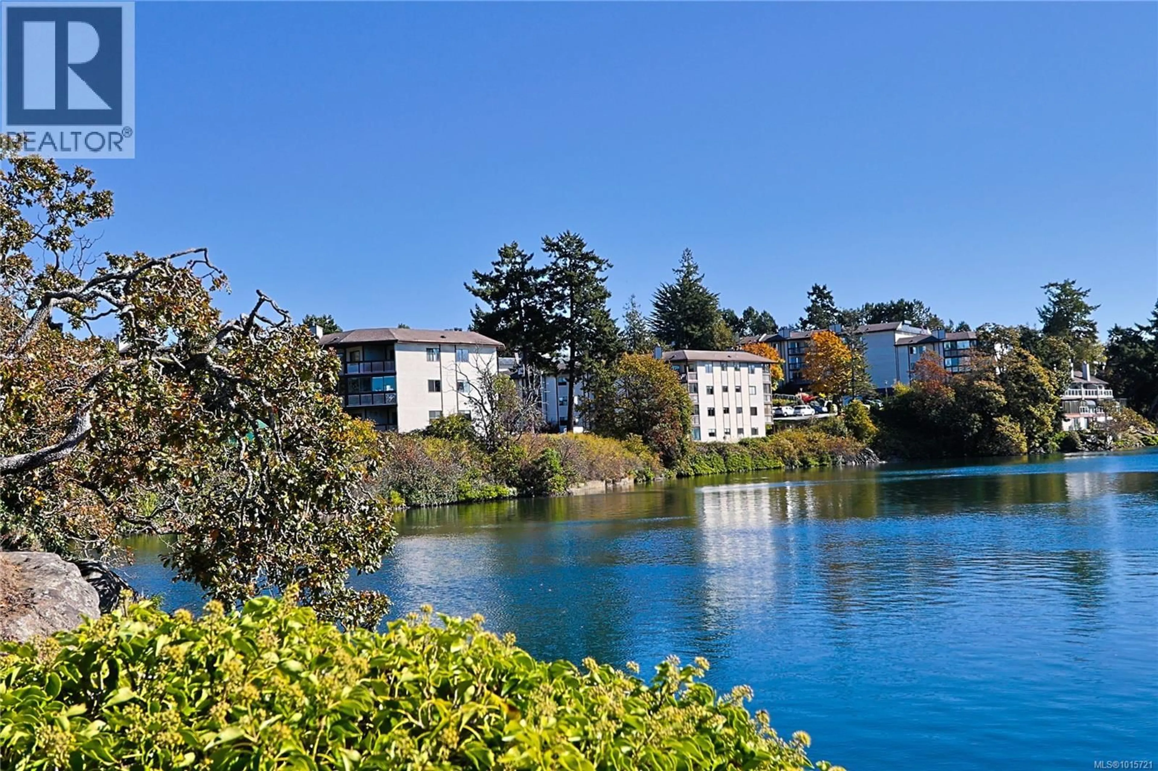 Blurry image for 208 - 69 GORGE ROAD WEST, Saanich British Columbia V9A1L9