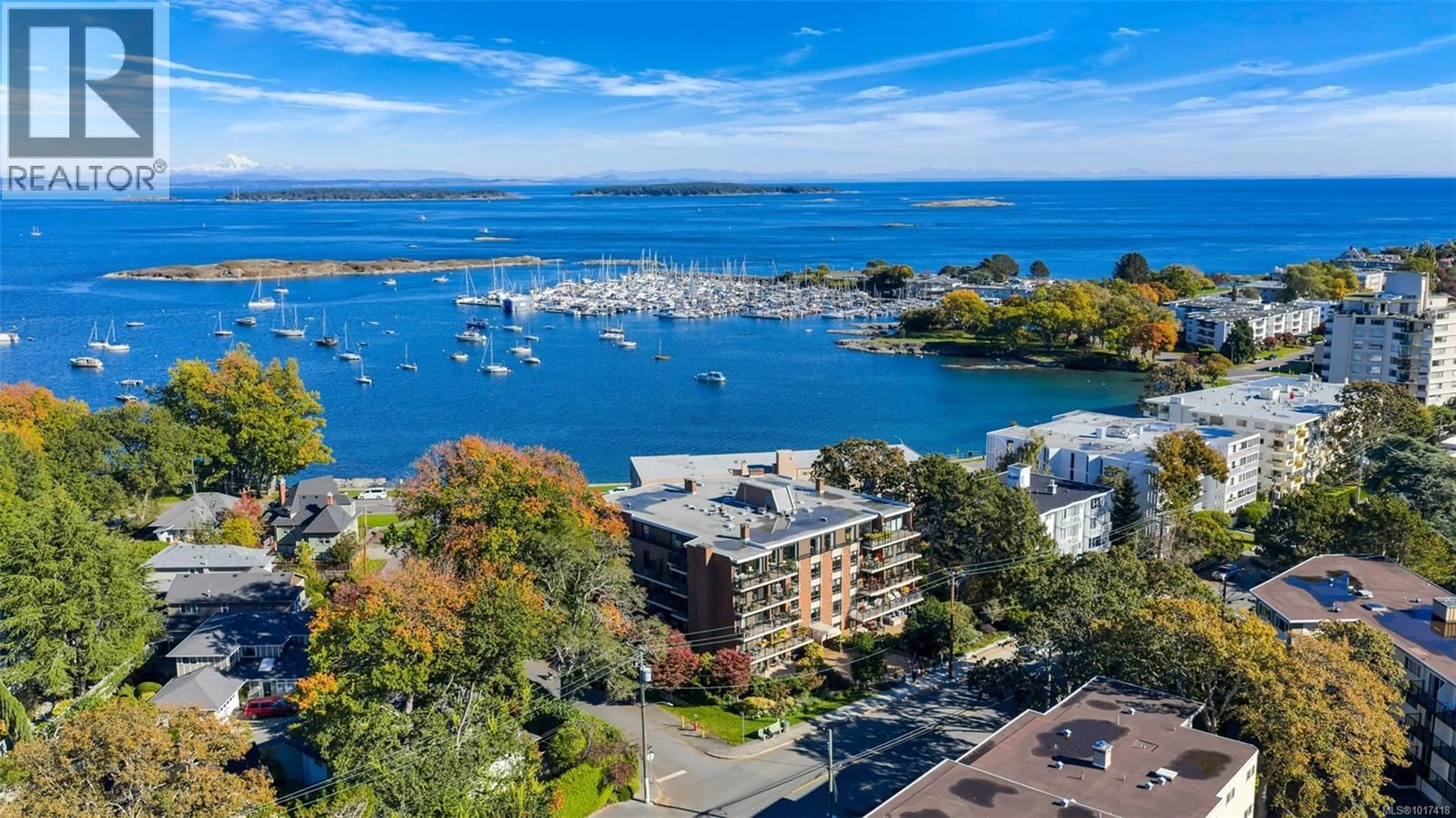 A pic from outside/outdoor area/front of a property/back of a property/a pic from drone, water/lake/river/ocean view for 103 - 1375 NEWPORT AVENUE, Oak Bay British Columbia V8S5E8