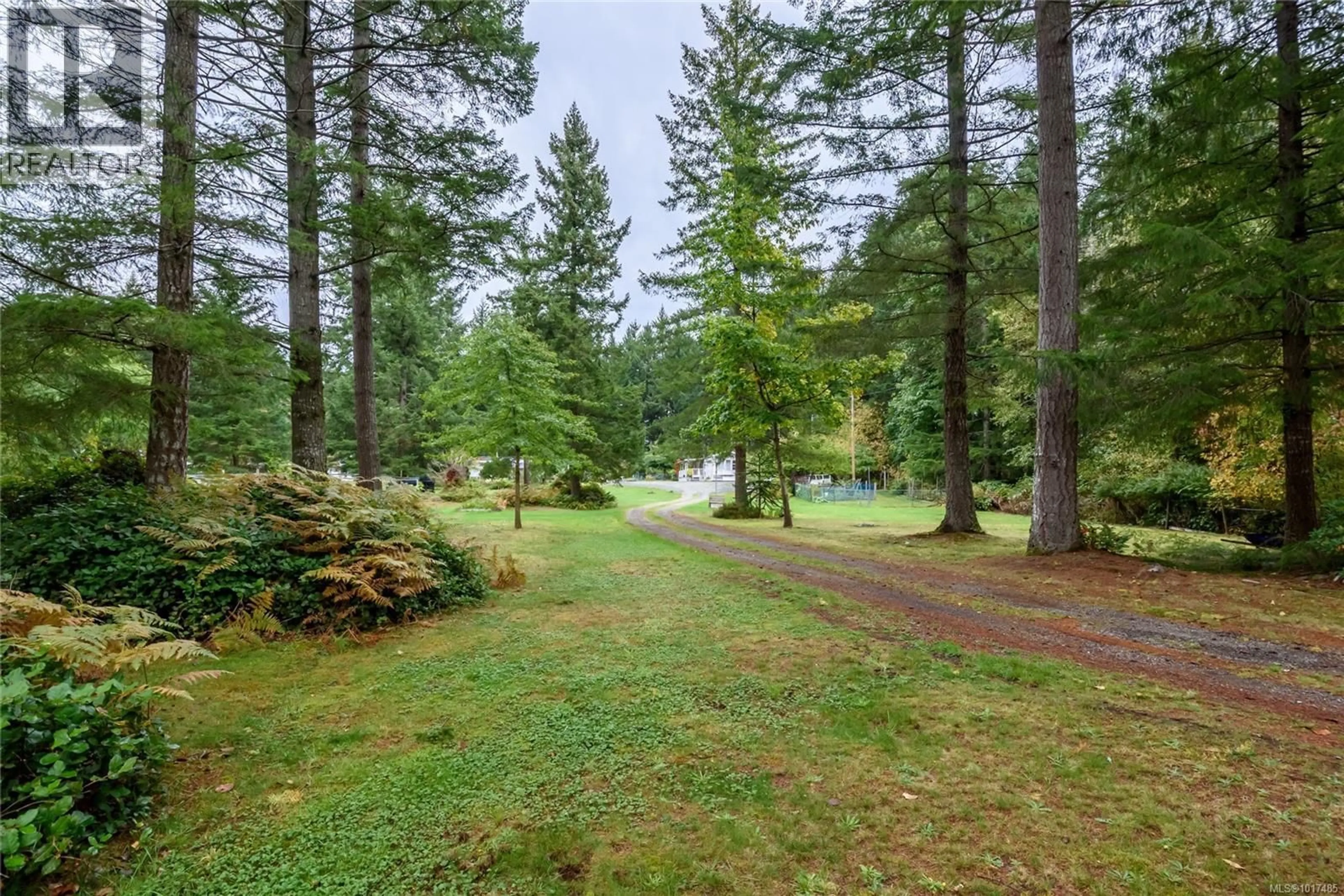 Patio, forest/trees view for A/B - 2826 BRUCE ROAD, Black Creek British Columbia V9J1B7