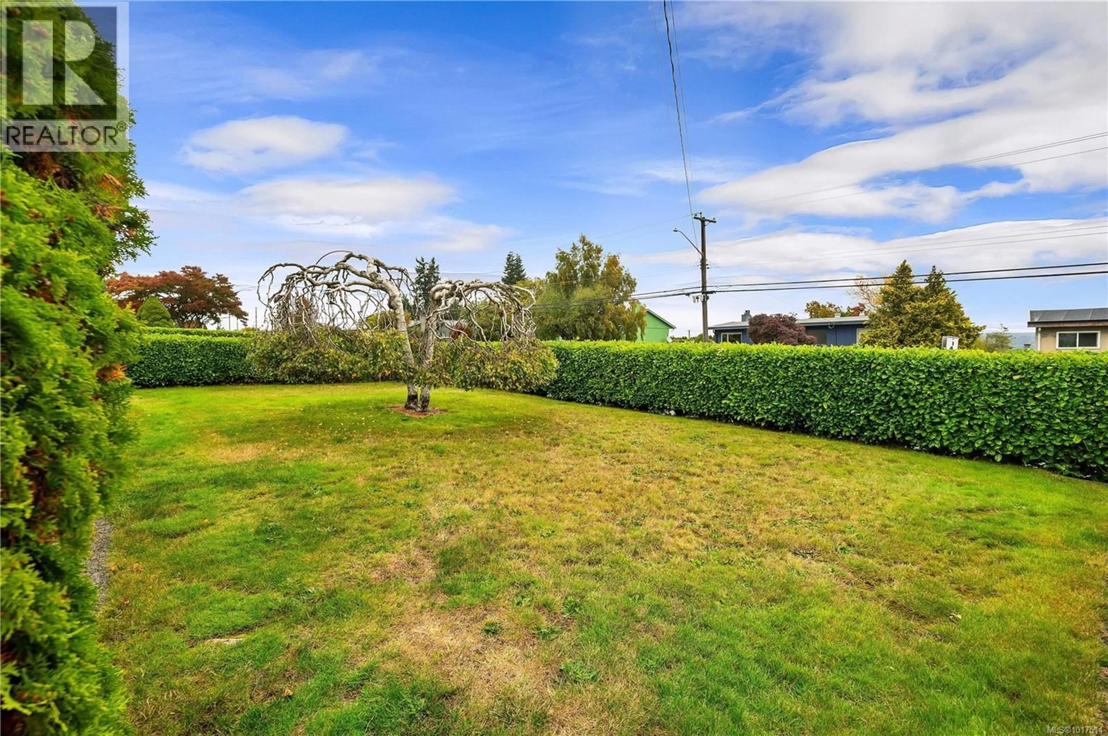 A pic from outside/outdoor area/front of a property/back of a property/a pic from drone, unknown for 816 ALDER STREET SOUTH, Campbell River British Columbia V9W1Z3