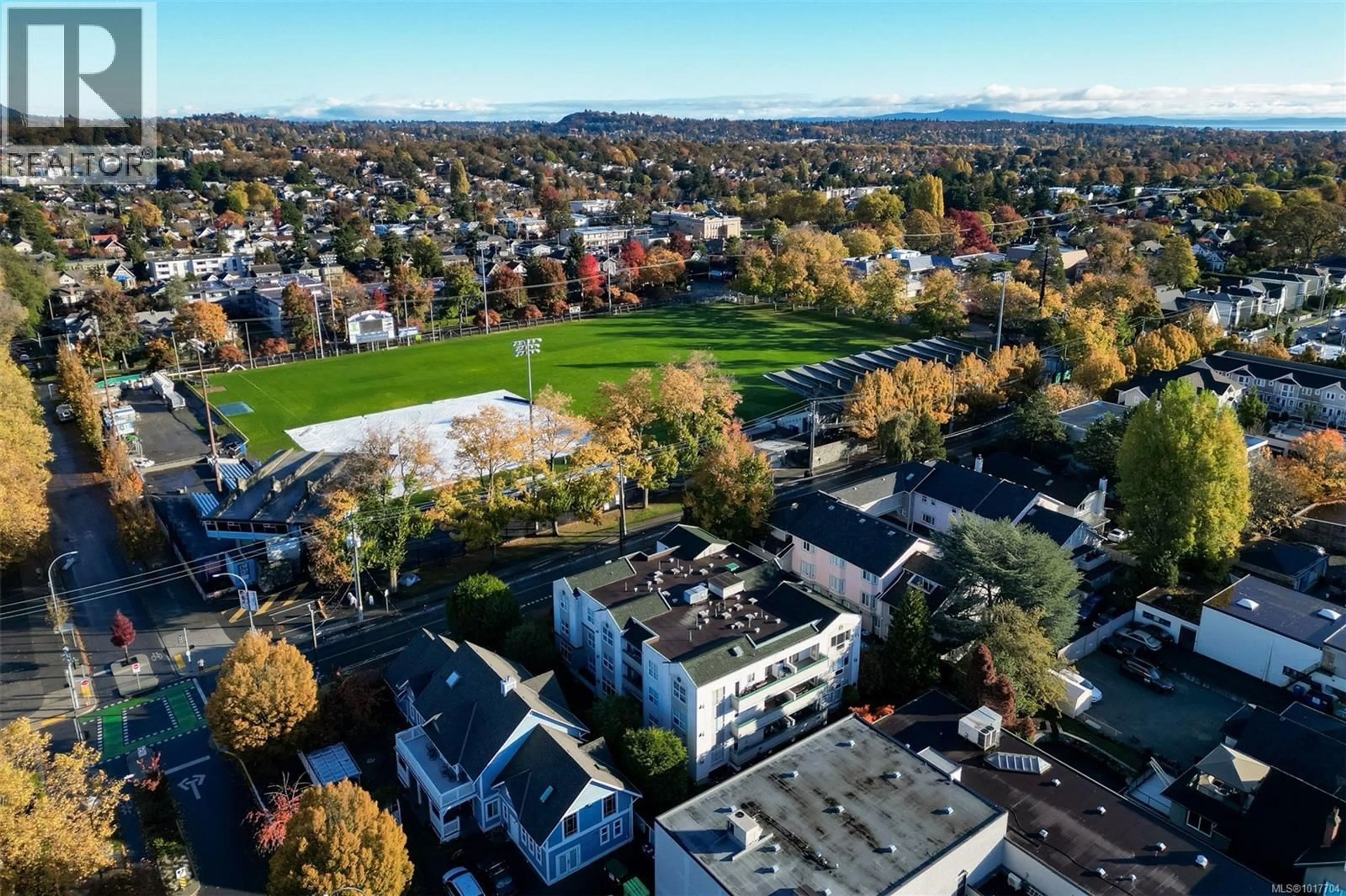 A pic from outside/outdoor area/front of a property/back of a property/a pic from drone, mountain view for 302 - 1007 CALEDONIA AVENUE, Victoria British Columbia V8T1E7