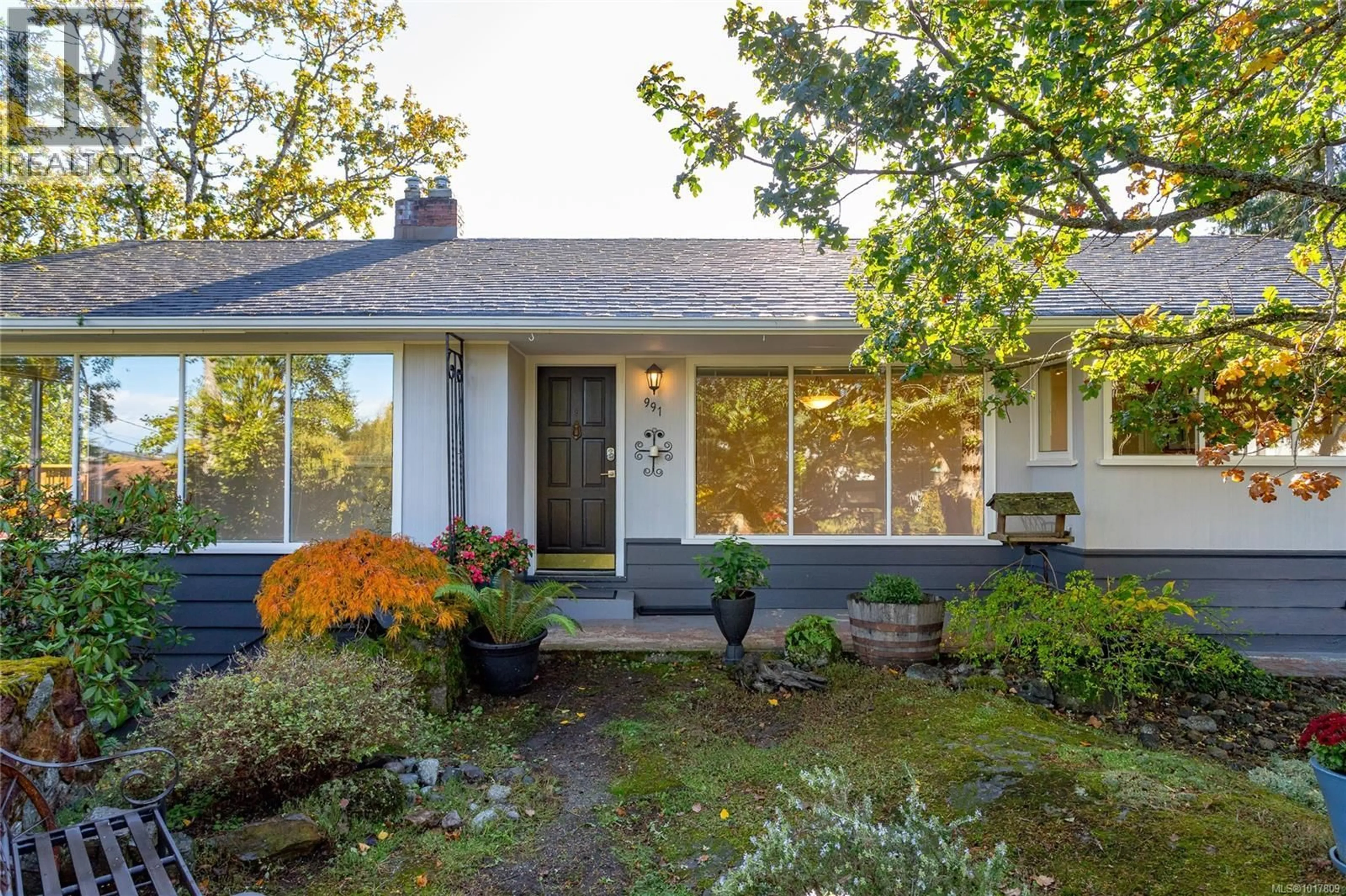 Home with vinyl exterior material, street for 991 SNOWDROP AVENUE, Saanich British Columbia V8Z2N6