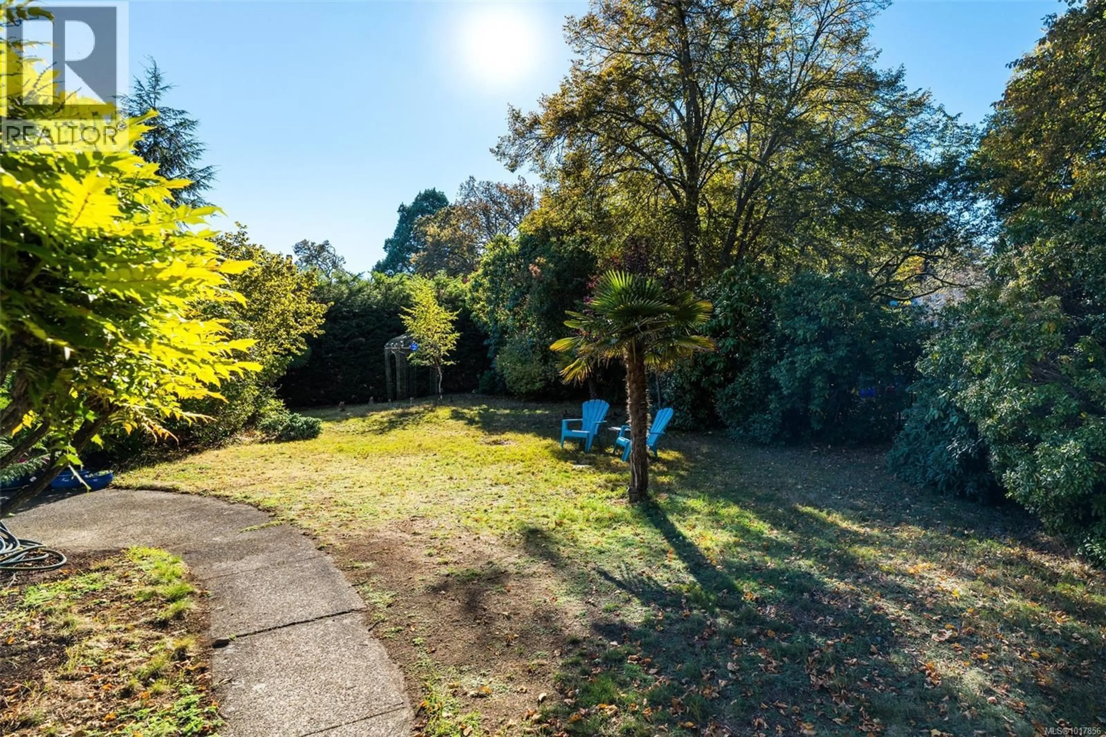A pic from outside/outdoor area/front of a property/back of a property/a pic from drone, forest/trees view for 3315 RIPON ROAD, Oak Bay British Columbia V8R6G6