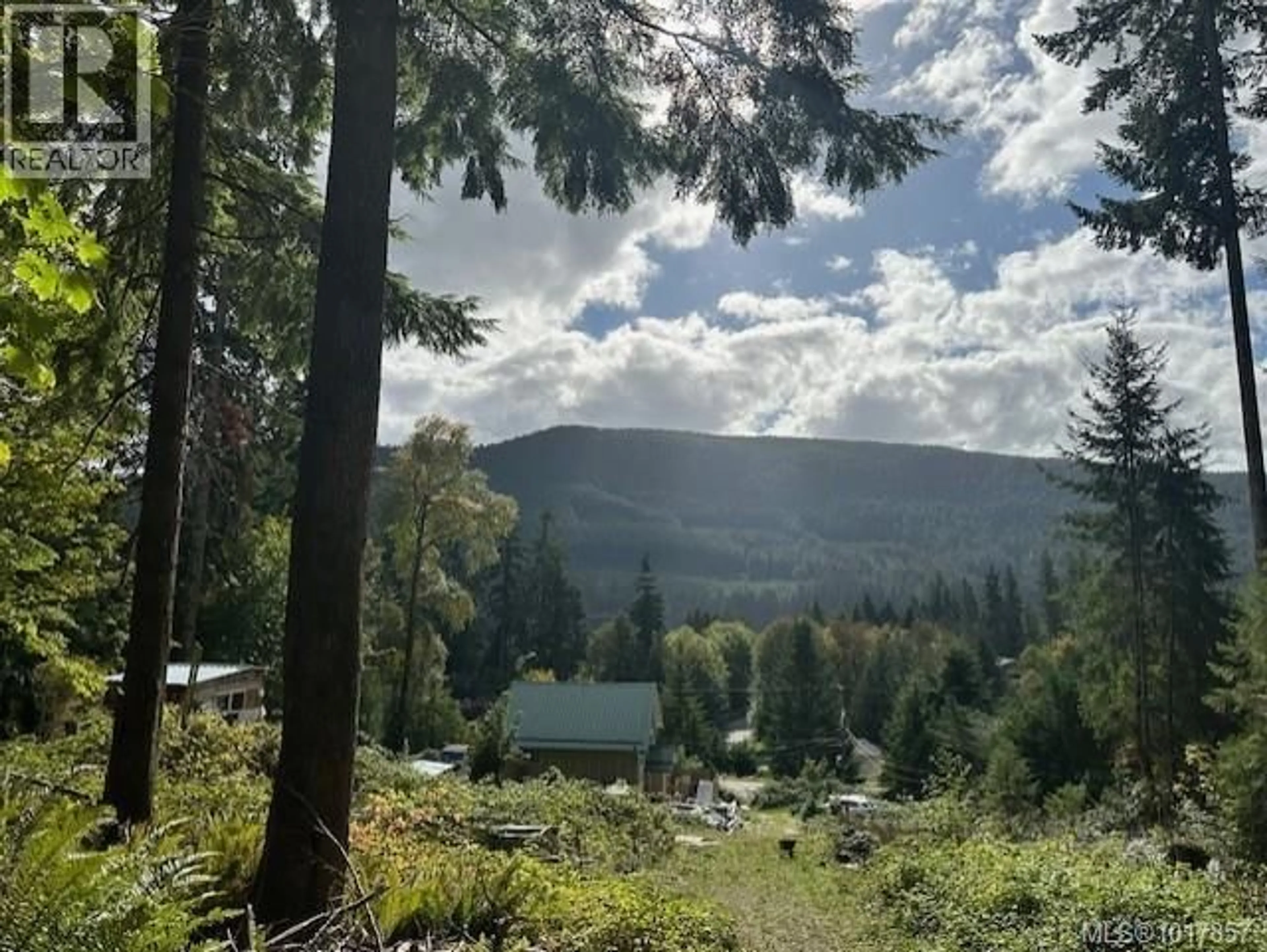 A pic from outside/outdoor area/front of a property/back of a property/a pic from drone, forest/trees view for 9725 YOUBOU ROAD, Youbou British Columbia V0R3E1