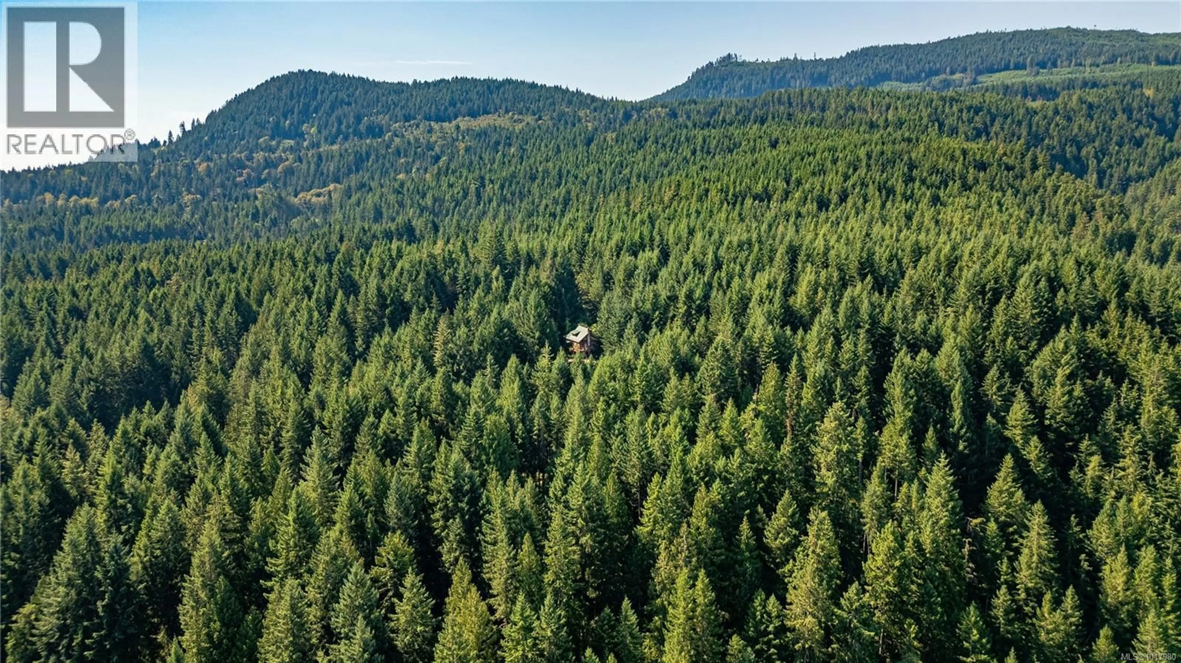 A pic from outside/outdoor area/front of a property/back of a property/a pic from drone, forest/trees view for 3550 LAKESHAW ROAD, Cobble Hill British Columbia V9L6N5