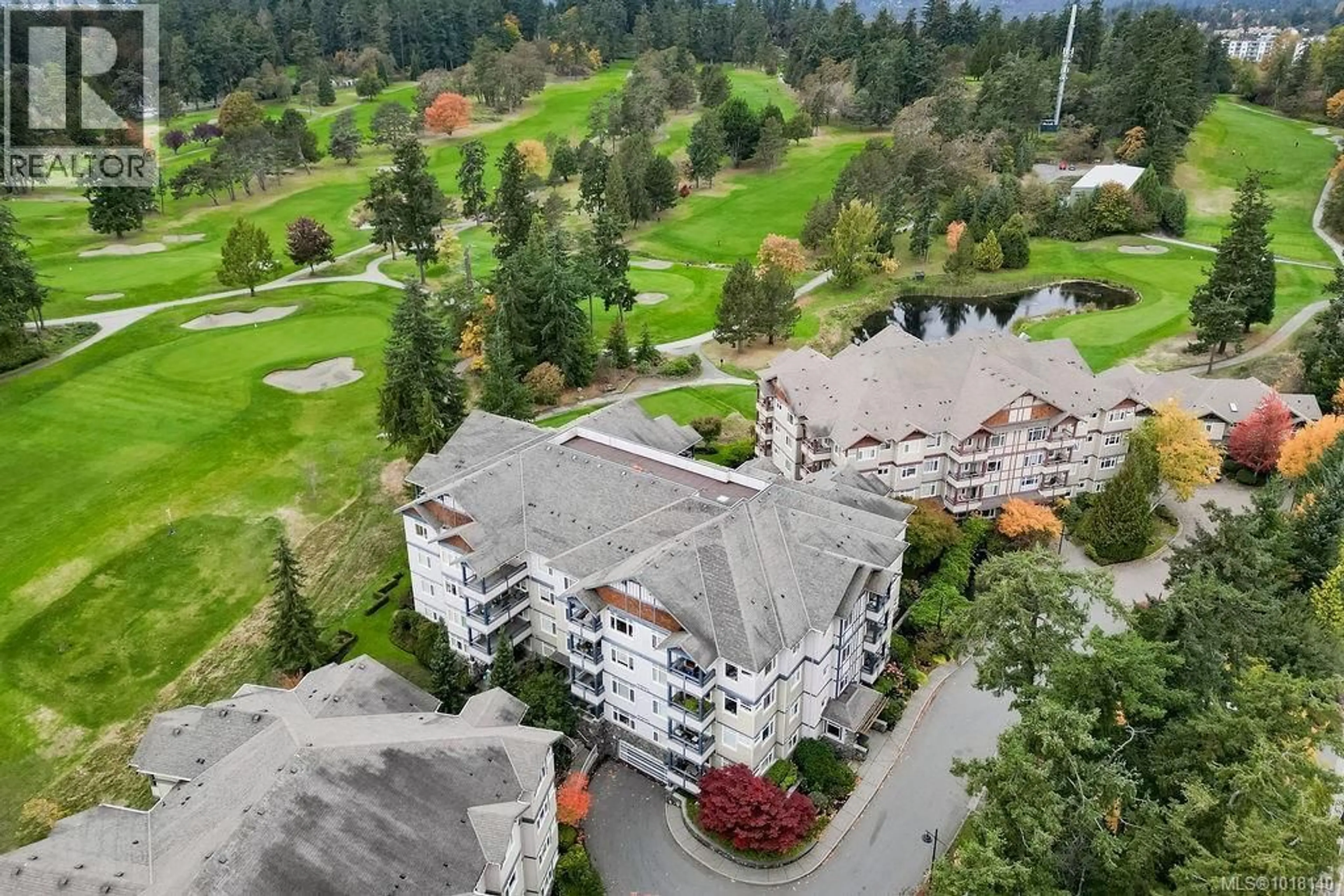 A pic from outside/outdoor area/front of a property/back of a property/a pic from drone, mountain view for 309D - 1115 CRAIGFLOWER ROAD, Esquimalt British Columbia V9A7R1