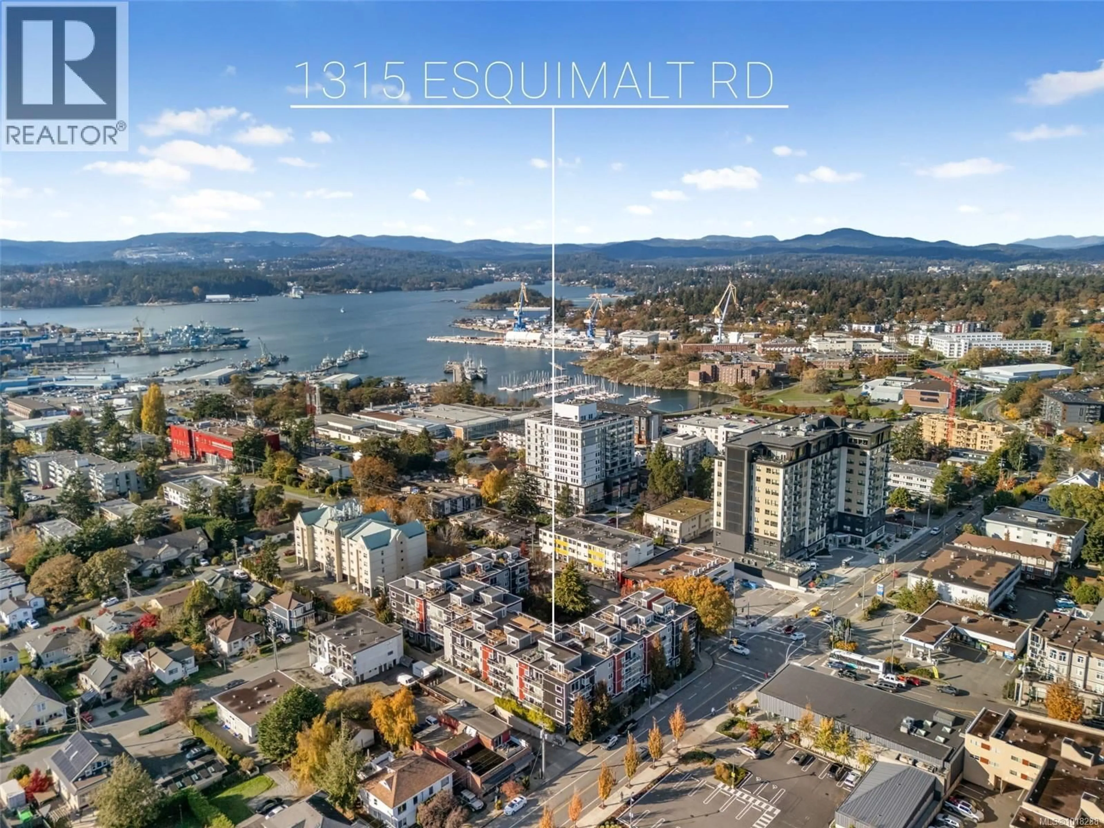 A pic from outside/outdoor area/front of a property/back of a property/a pic from drone, water/lake/river/ocean view for 410 - 1315 ESQUIMALT ROAD, Esquimalt British Columbia V9A3P4