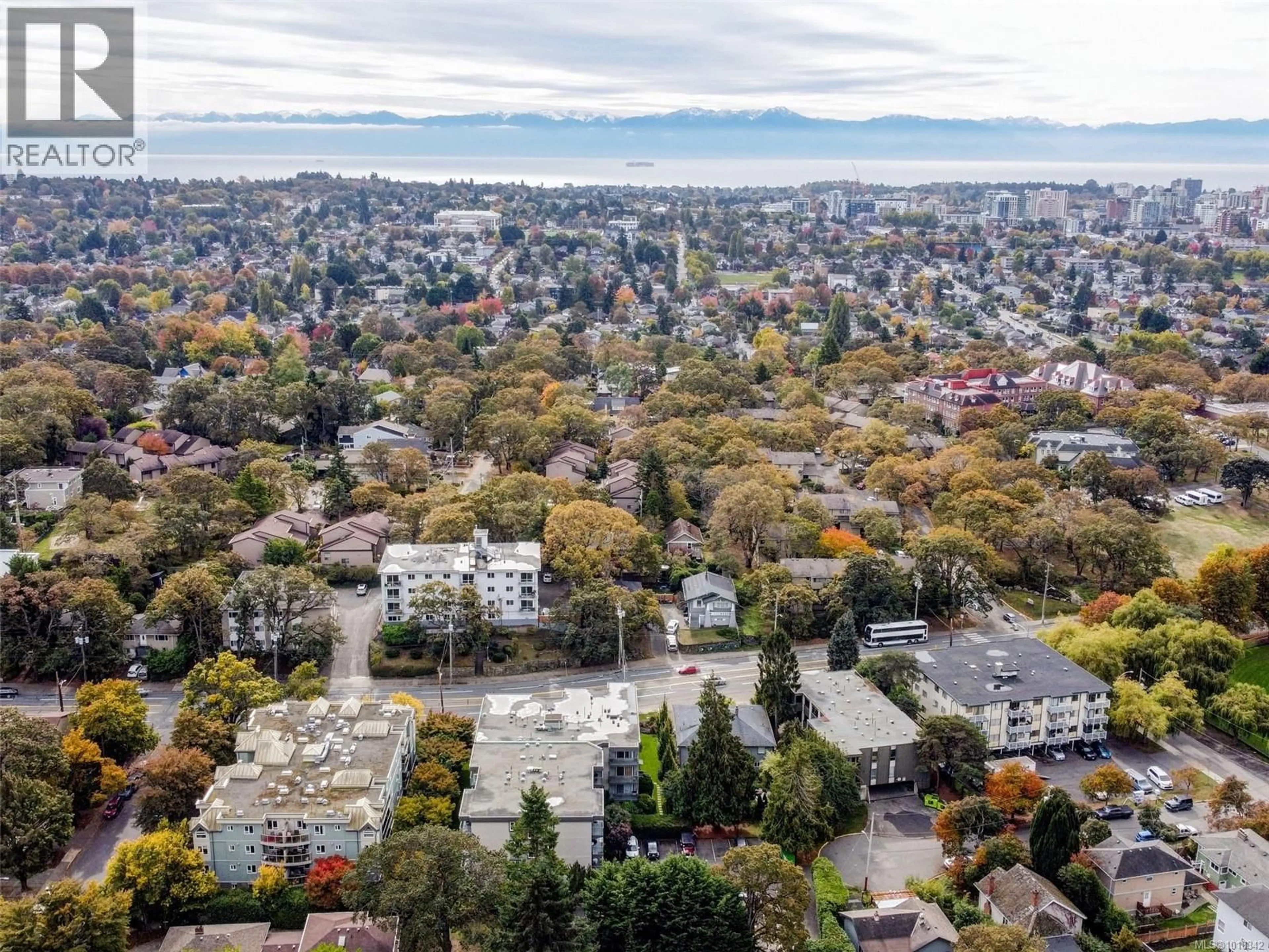 A pic from outside/outdoor area/front of a property/back of a property/a pic from drone, city buildings view from balcony for 309 - 1342 HILLSIDE AVENUE, Victoria British Columbia V8T2B4