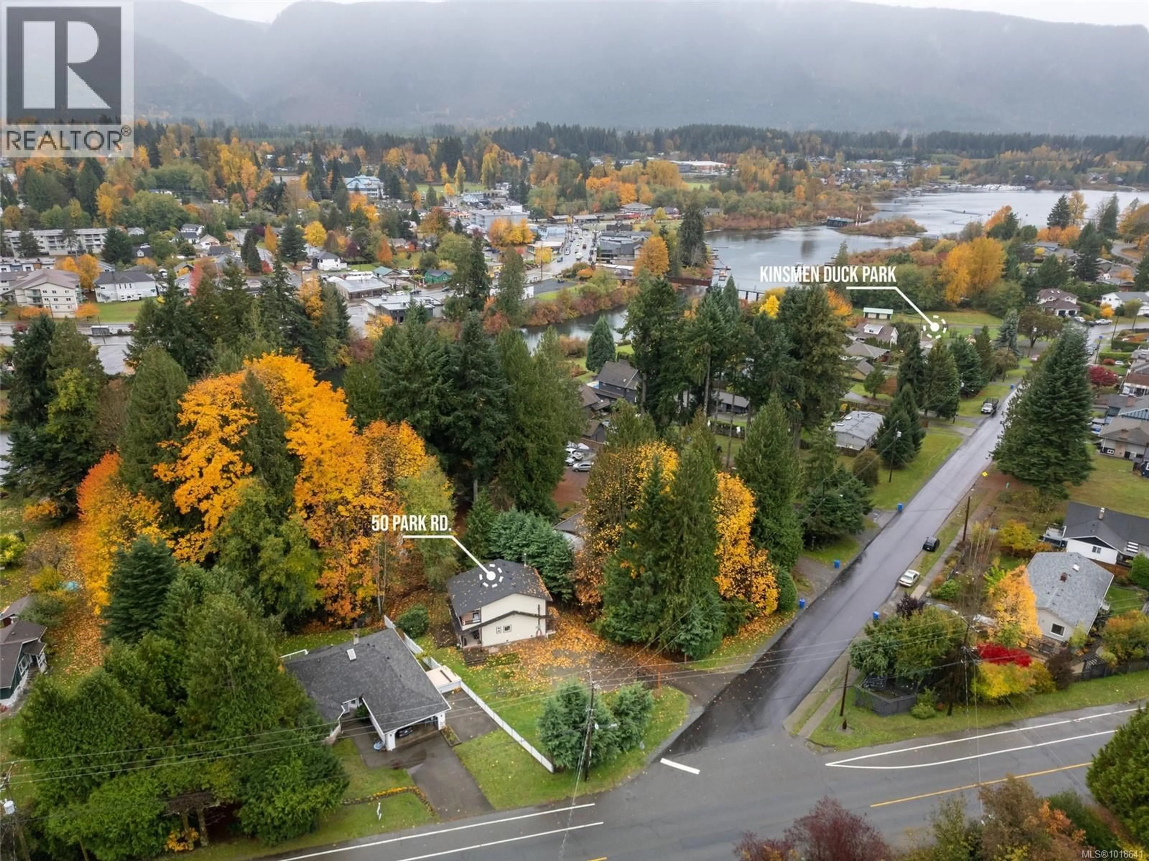 A pic from outside/outdoor area/front of a property/back of a property/a pic from drone, mountain view for 50 PARK ROAD, Lake Cowichan British Columbia V0R2G0