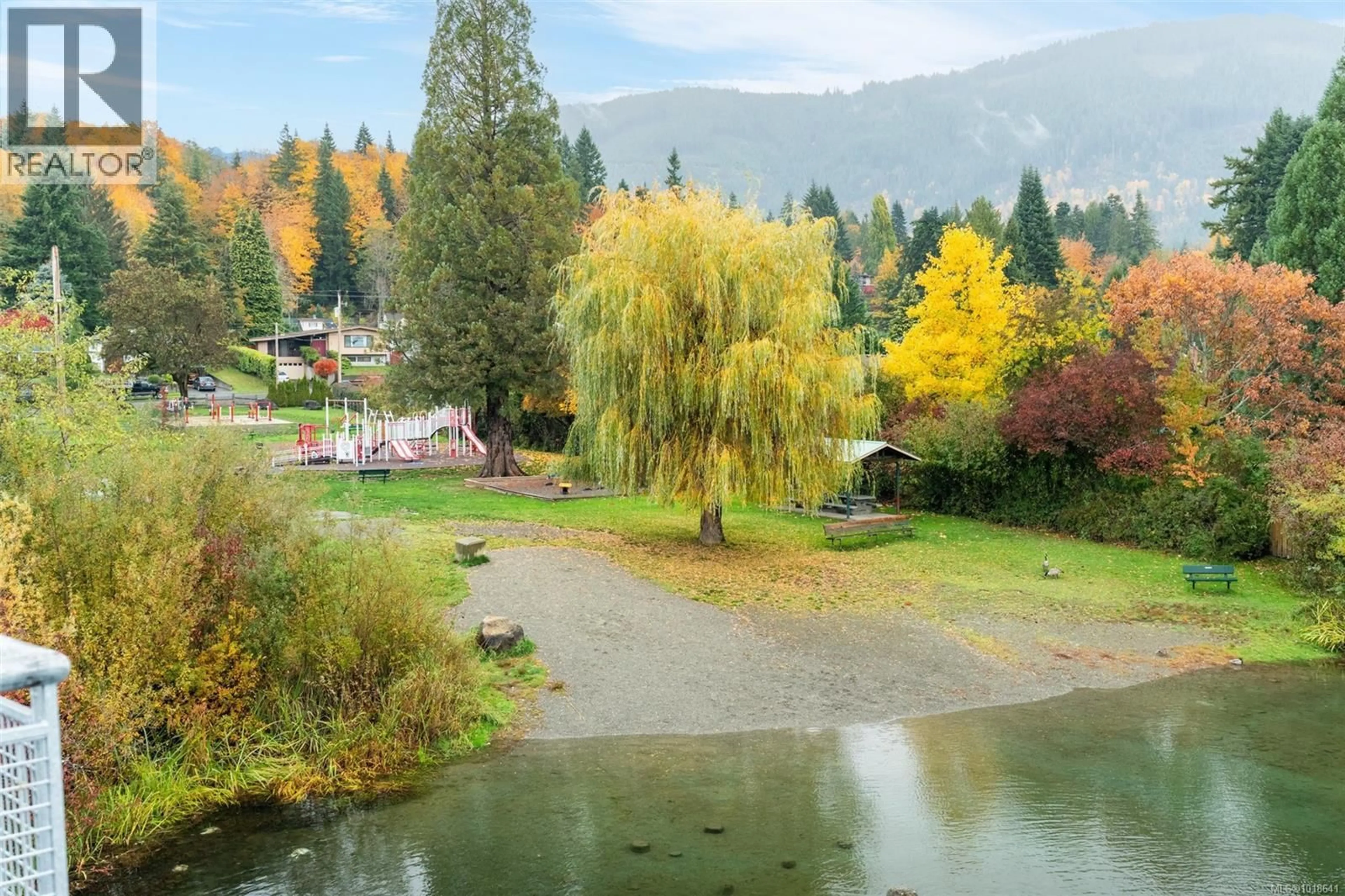 Blurry image for 50 PARK ROAD, Lake Cowichan British Columbia V0R2G0