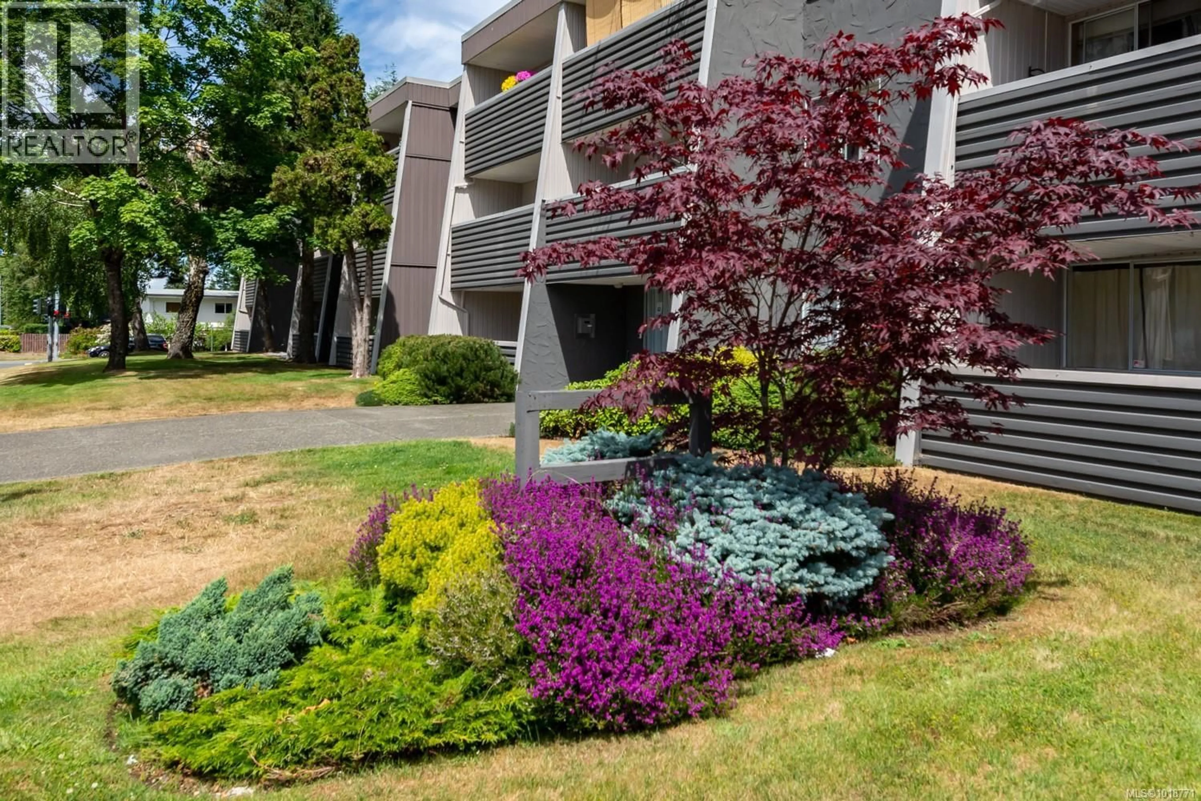 Patio, street for 311 - 377 DOGWOOD STREET SOUTH, Campbell River British Columbia V9W2V1