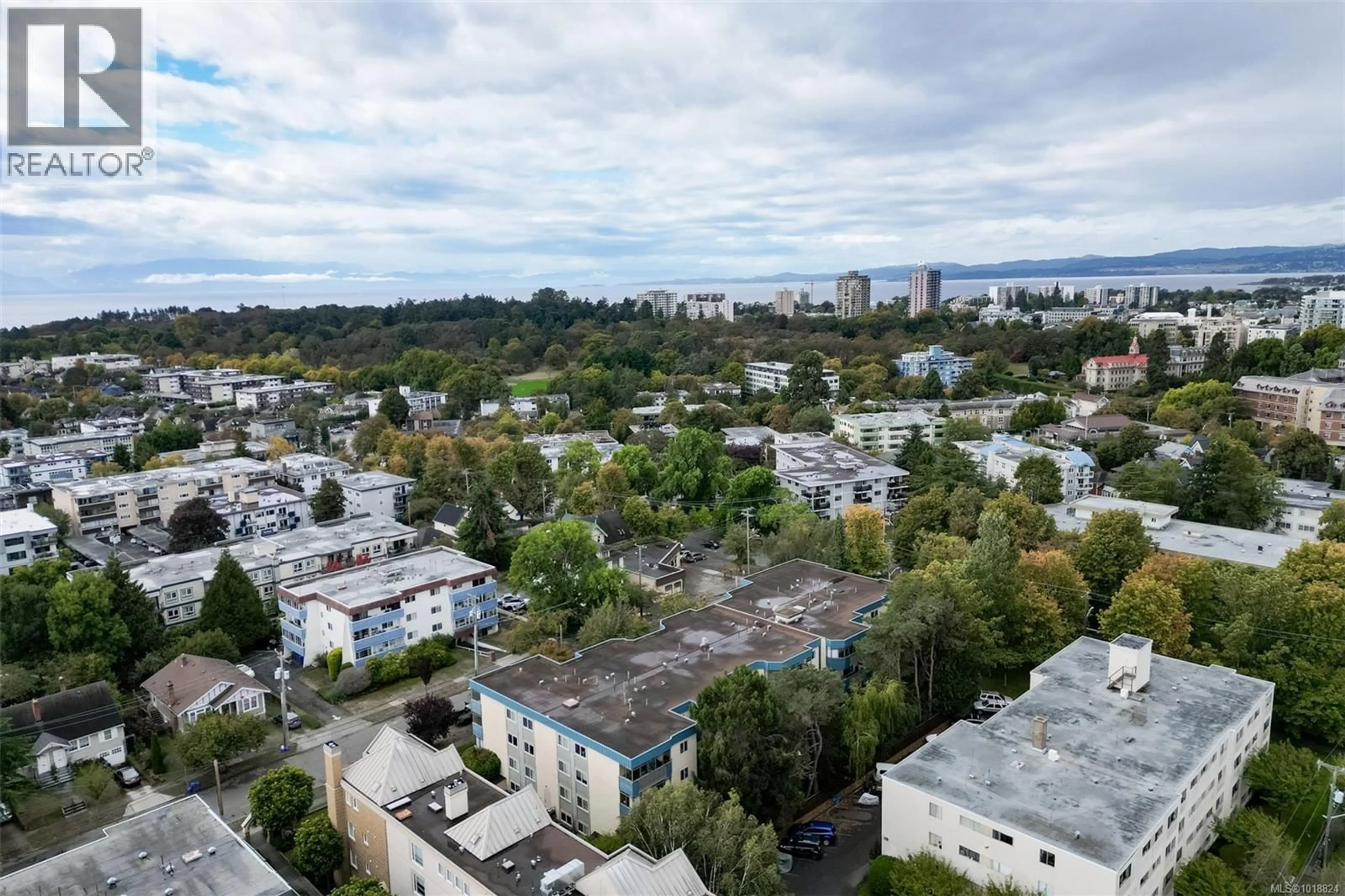 A pic from outside/outdoor area/front of a property/back of a property/a pic from drone, city buildings view from balcony for 307 - 1012 COLLINSON STREET, Victoria British Columbia V8V3C1