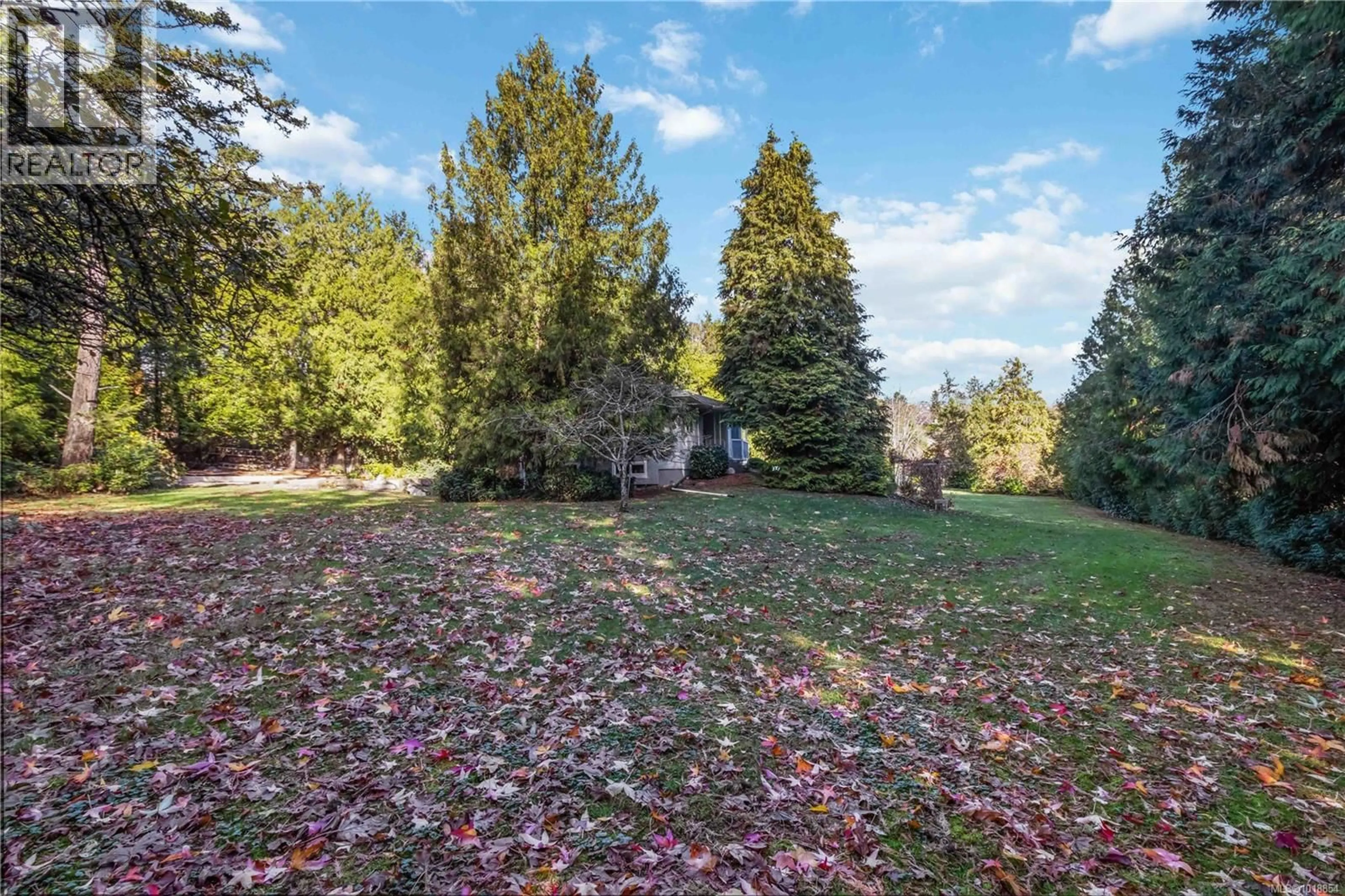 A pic from outside/outdoor area/front of a property/back of a property/a pic from drone, forest/trees view for 4504 PACHENA PLACE, Saanich British Columbia V8X2N9