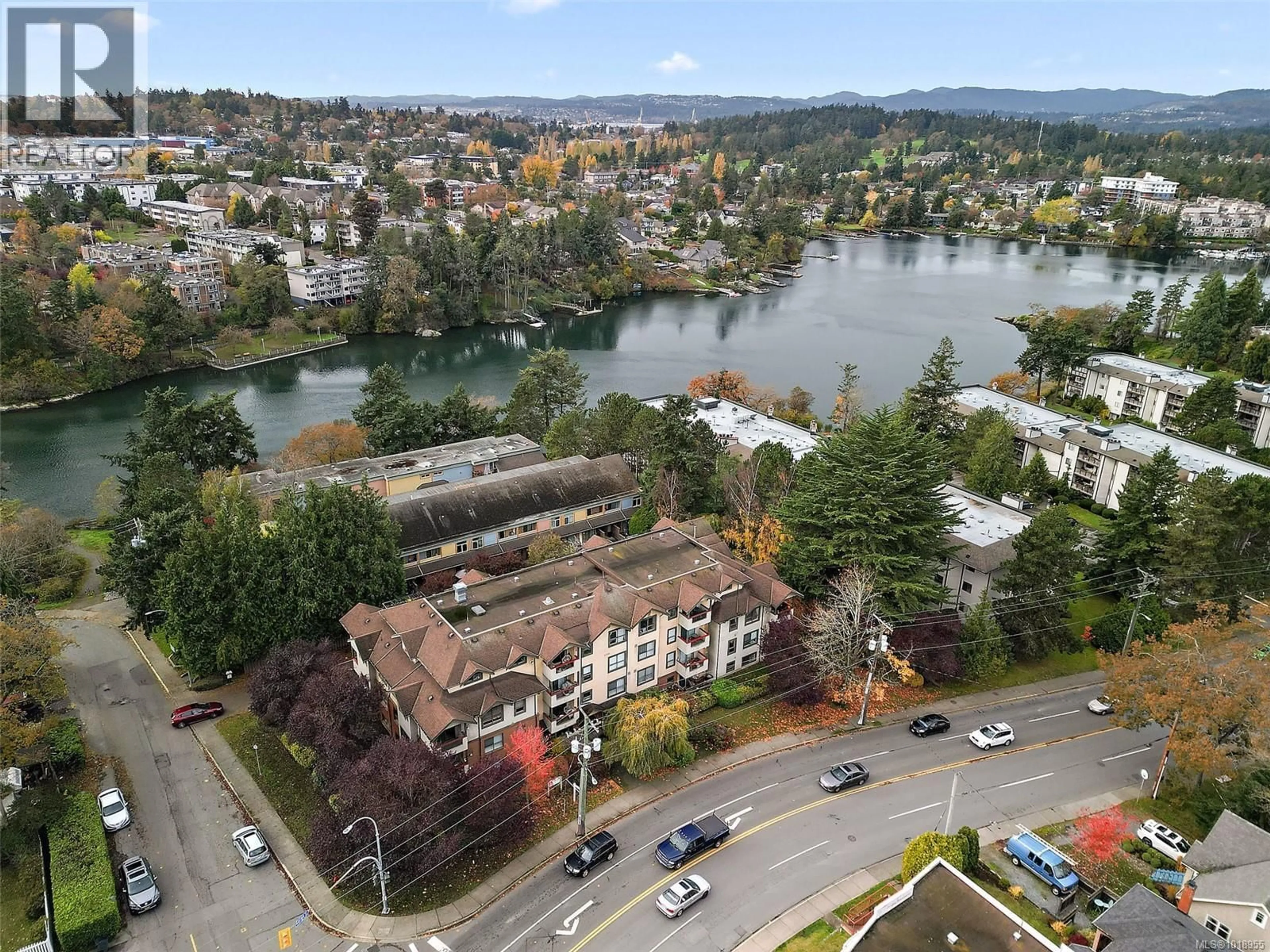 A pic from outside/outdoor area/front of a property/back of a property/a pic from drone, water/lake/river/ocean view for 202 - 7 GORGE ROAD WEST, Saanich British Columbia V9A1L9