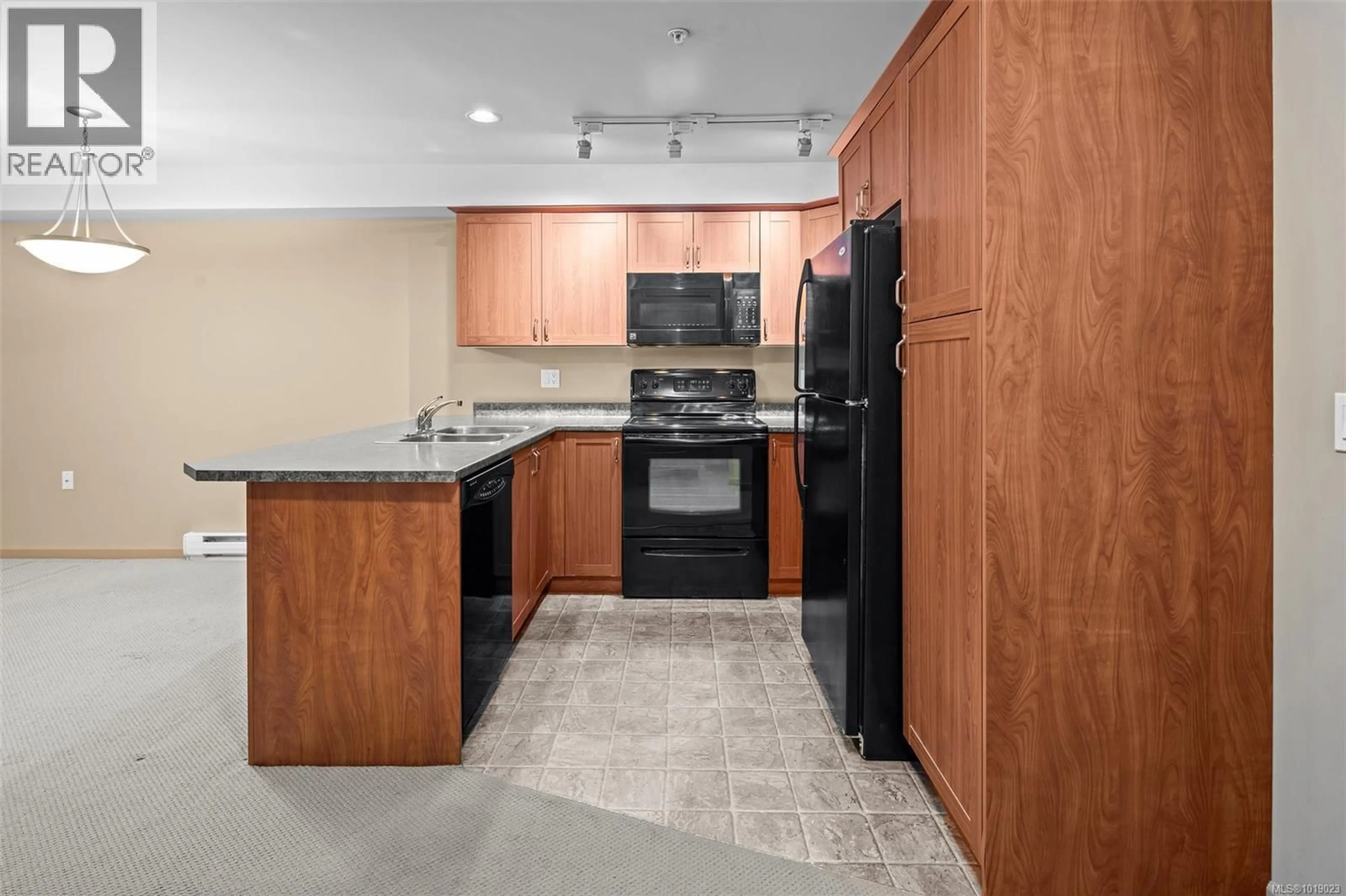 Standard kitchen, unknown for 102 - 655 GOLDSTREAM AVENUE, Langford British Columbia V9B0G2