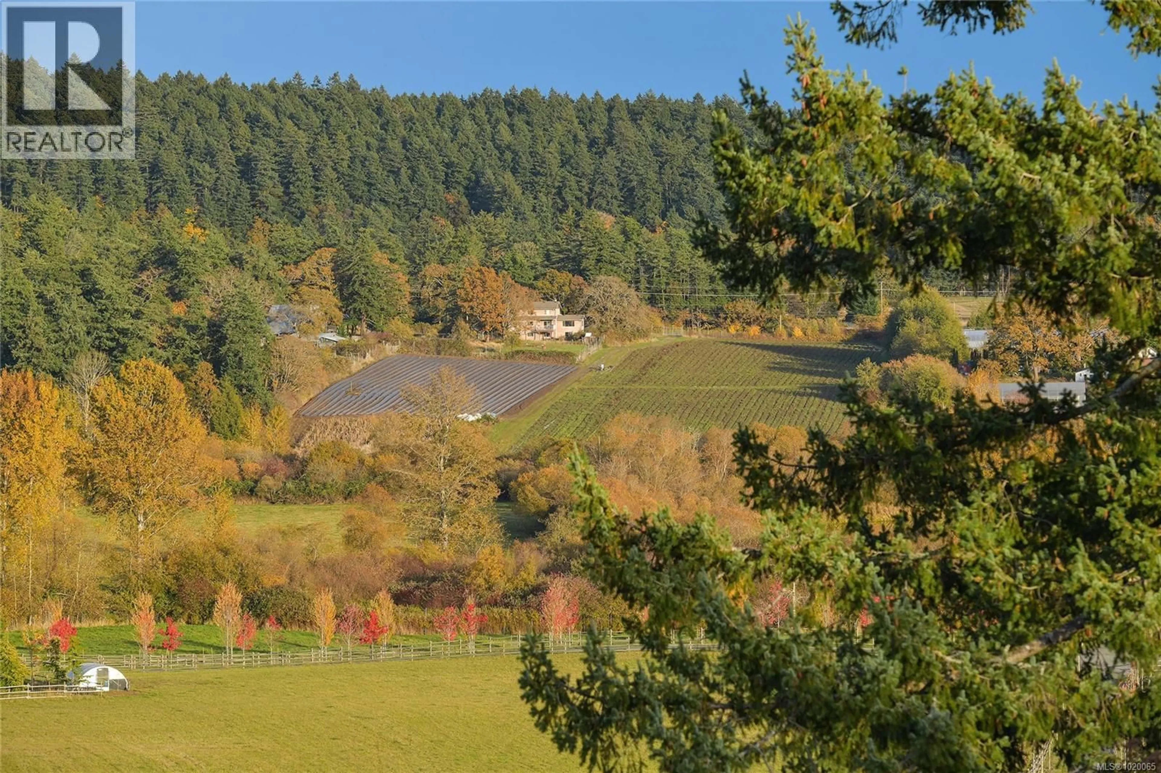 A pic from outside/outdoor area/front of a property/back of a property/a pic from drone, forest/trees view for 4259 WESTERVELT PLACE, Saanich British Columbia V8X5C1