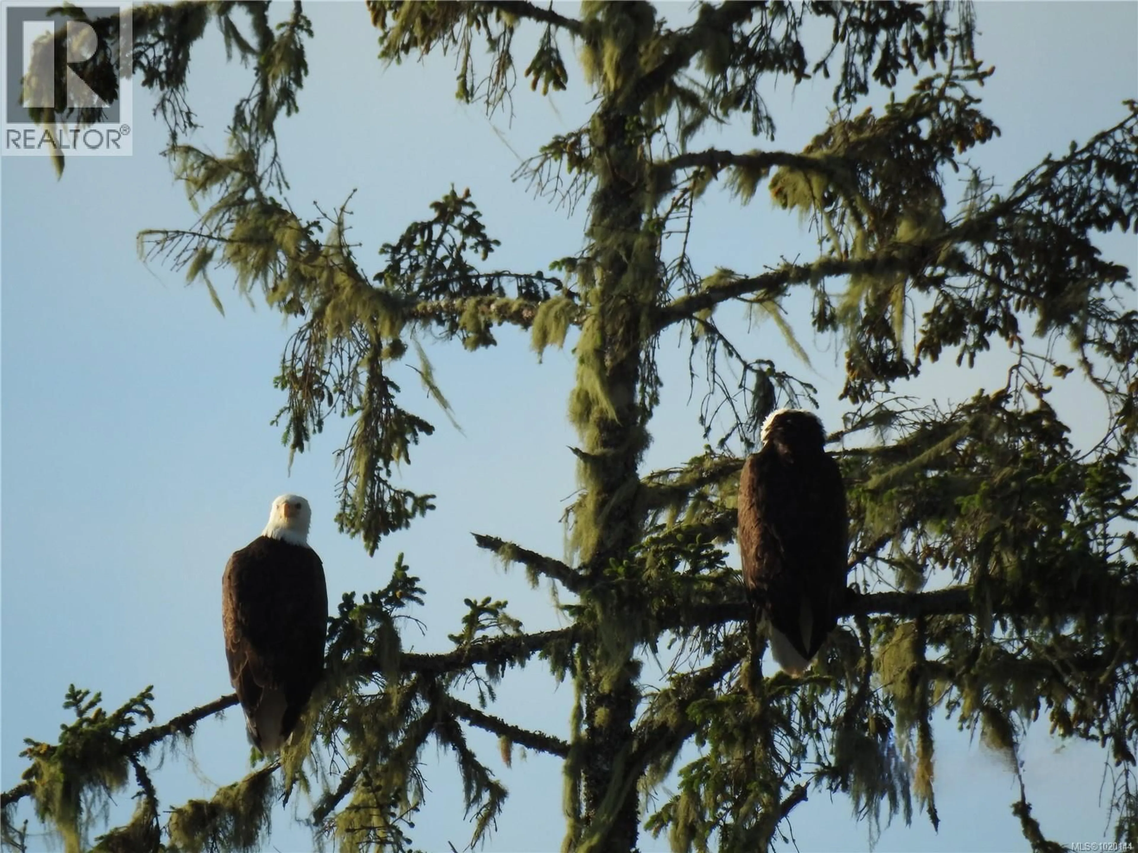 Blurry image for 1049 SIXTH AVENUE, Ucluelet British Columbia V0R3A0