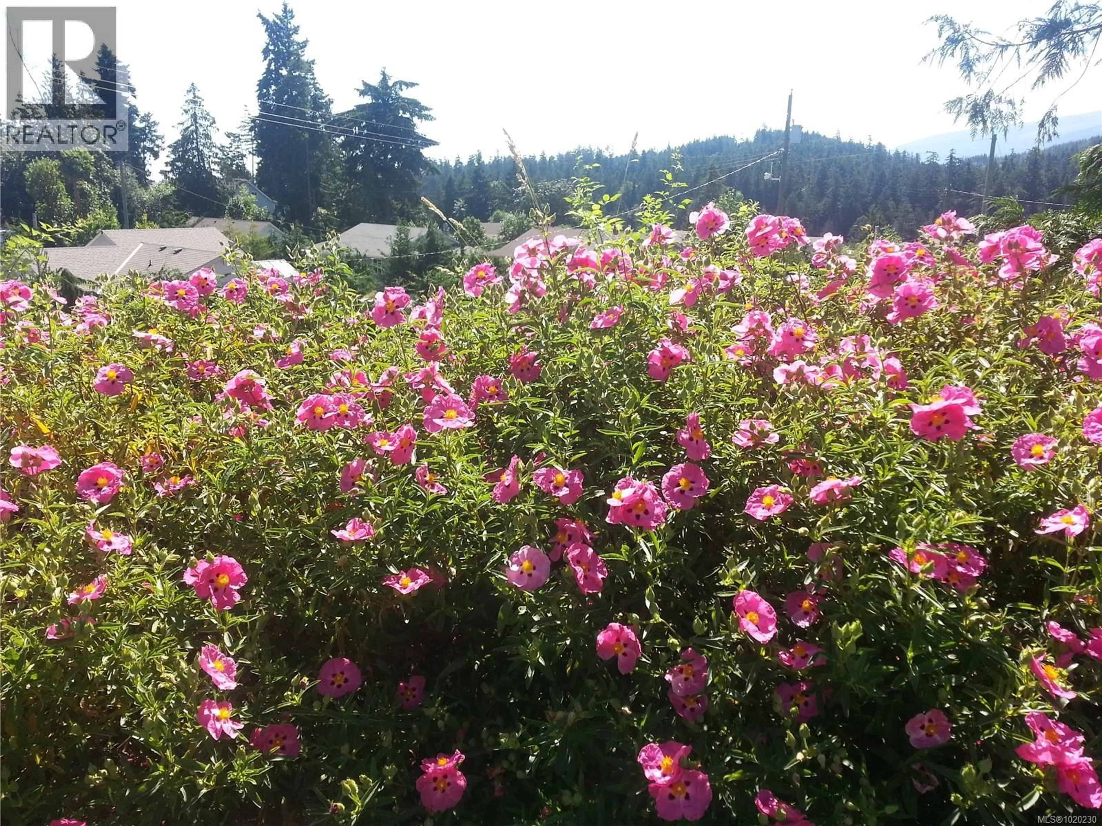 Patio, mountain view for 1731 DAR'S PLACE, Qualicum Beach British Columbia V9K2S3