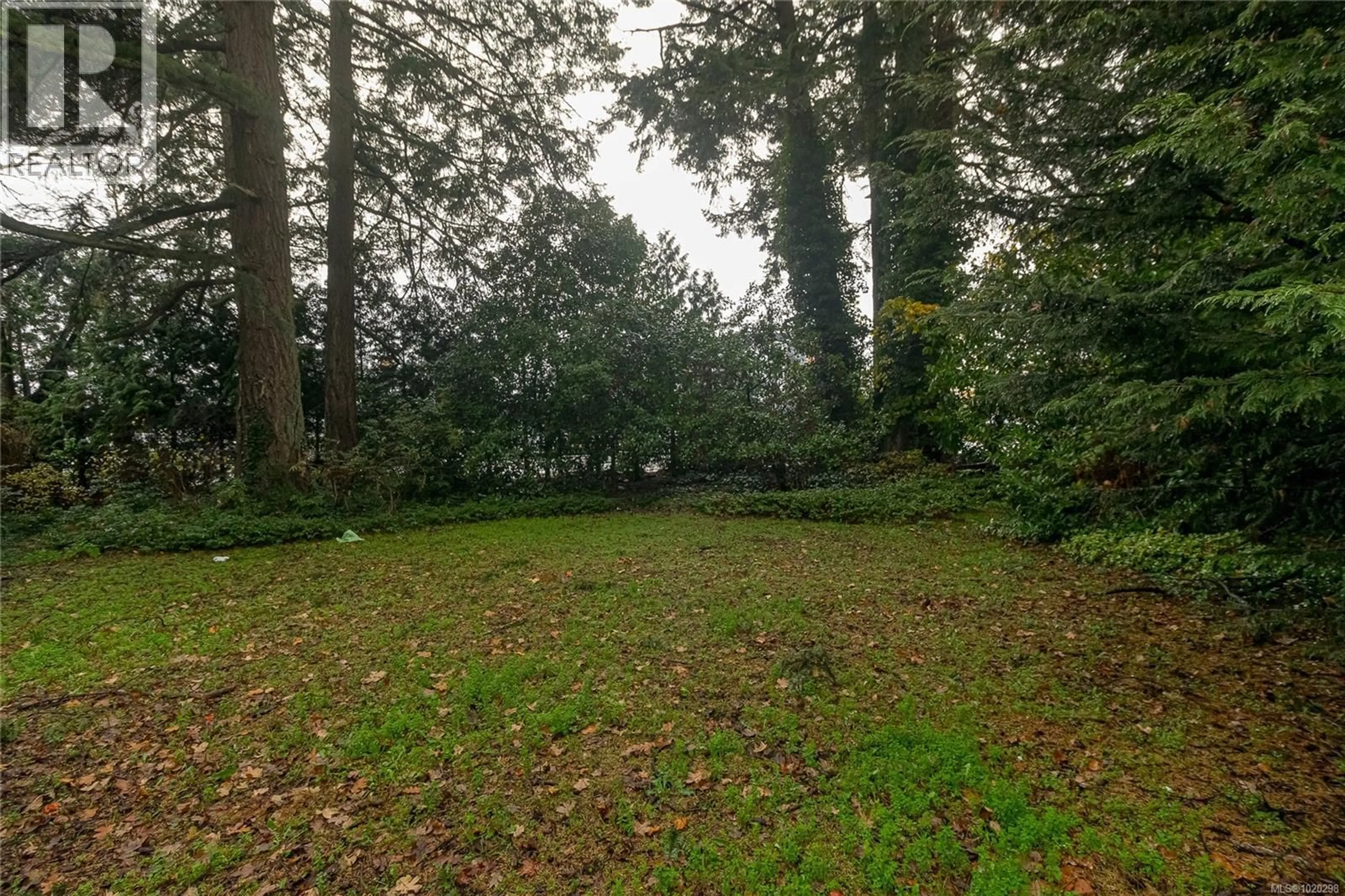 A pic from outside/outdoor area/front of a property/back of a property/a pic from drone, forest/trees view for 2834 ALDWYND ROAD, Langford British Columbia V9B3S9