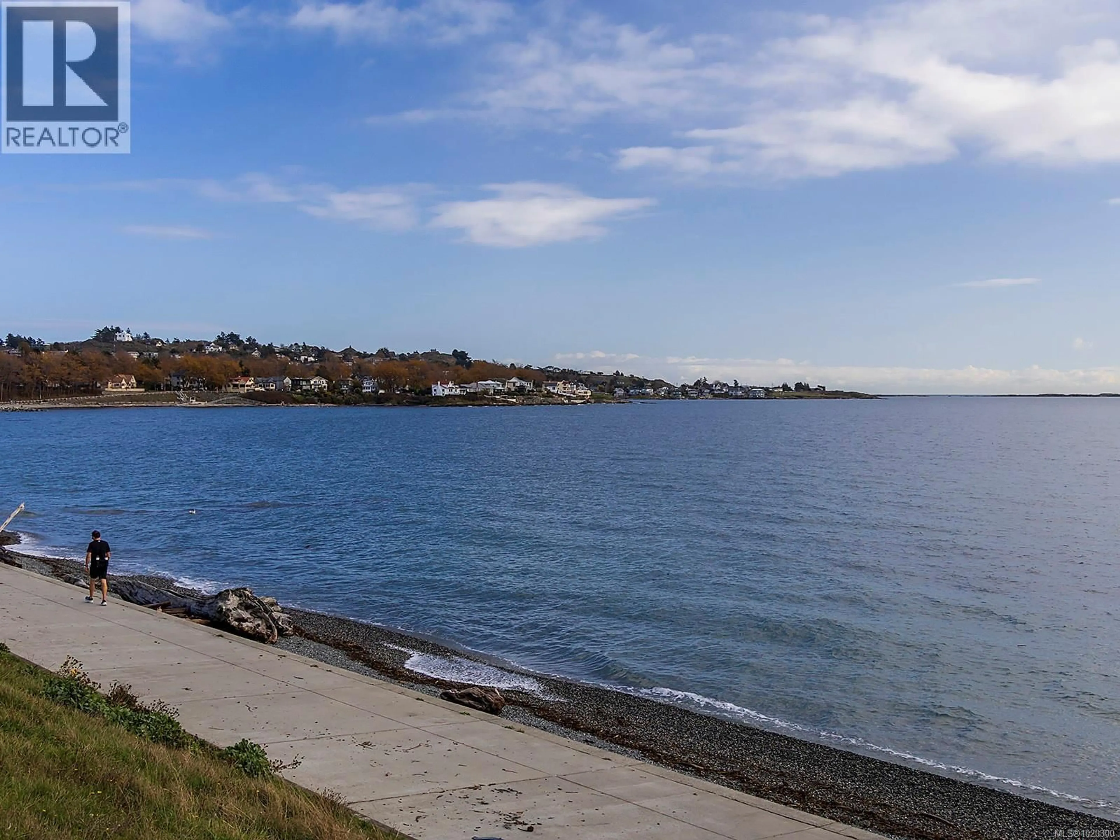 Blurry image for 1480 DALLAS ROAD, Victoria British Columbia V8S1A2