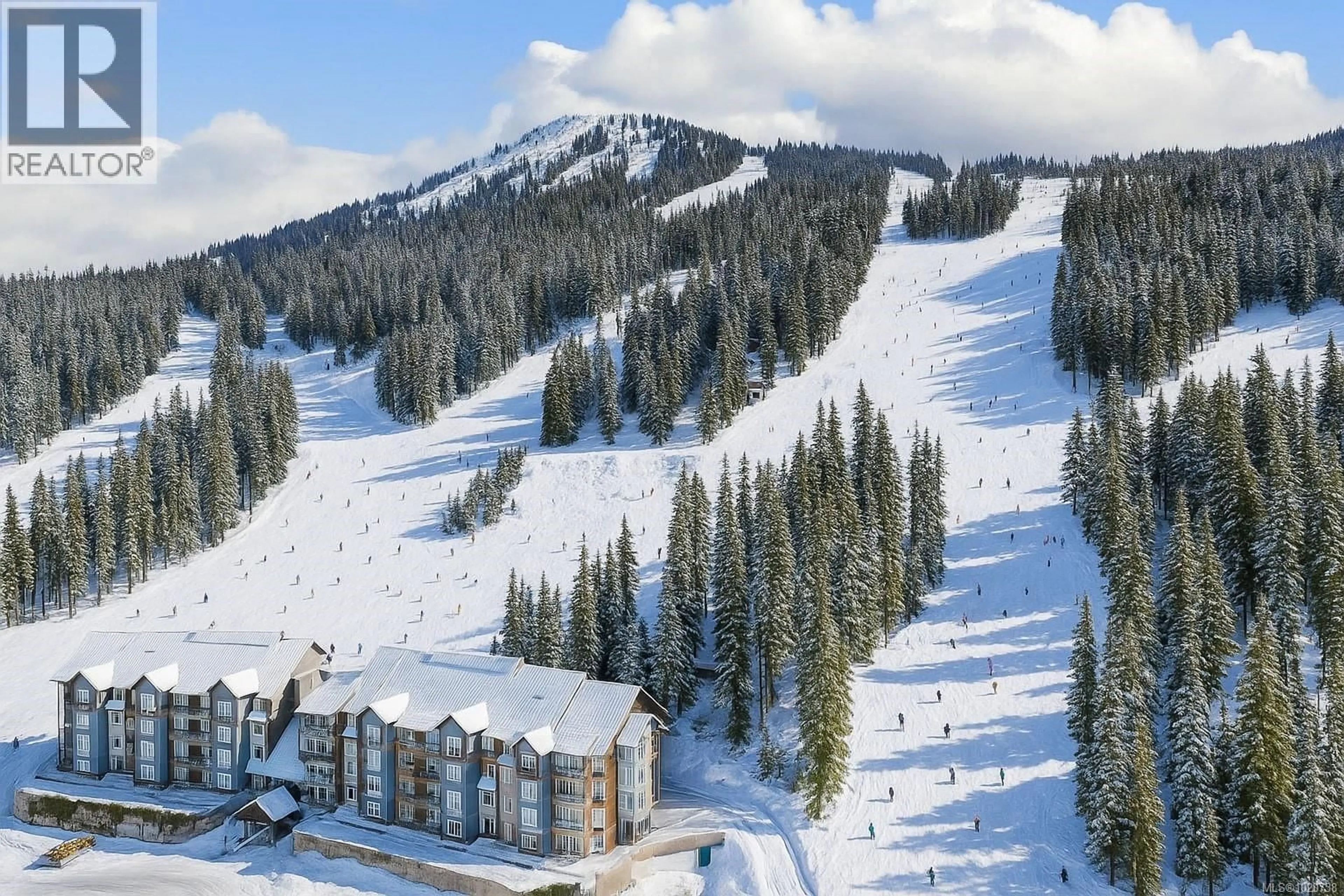 A pic from outside/outdoor area/front of a property/back of a property/a pic from drone, mountain view for 301 - 1280 ALPINE ROAD, Courtenay British Columbia V9J1L0