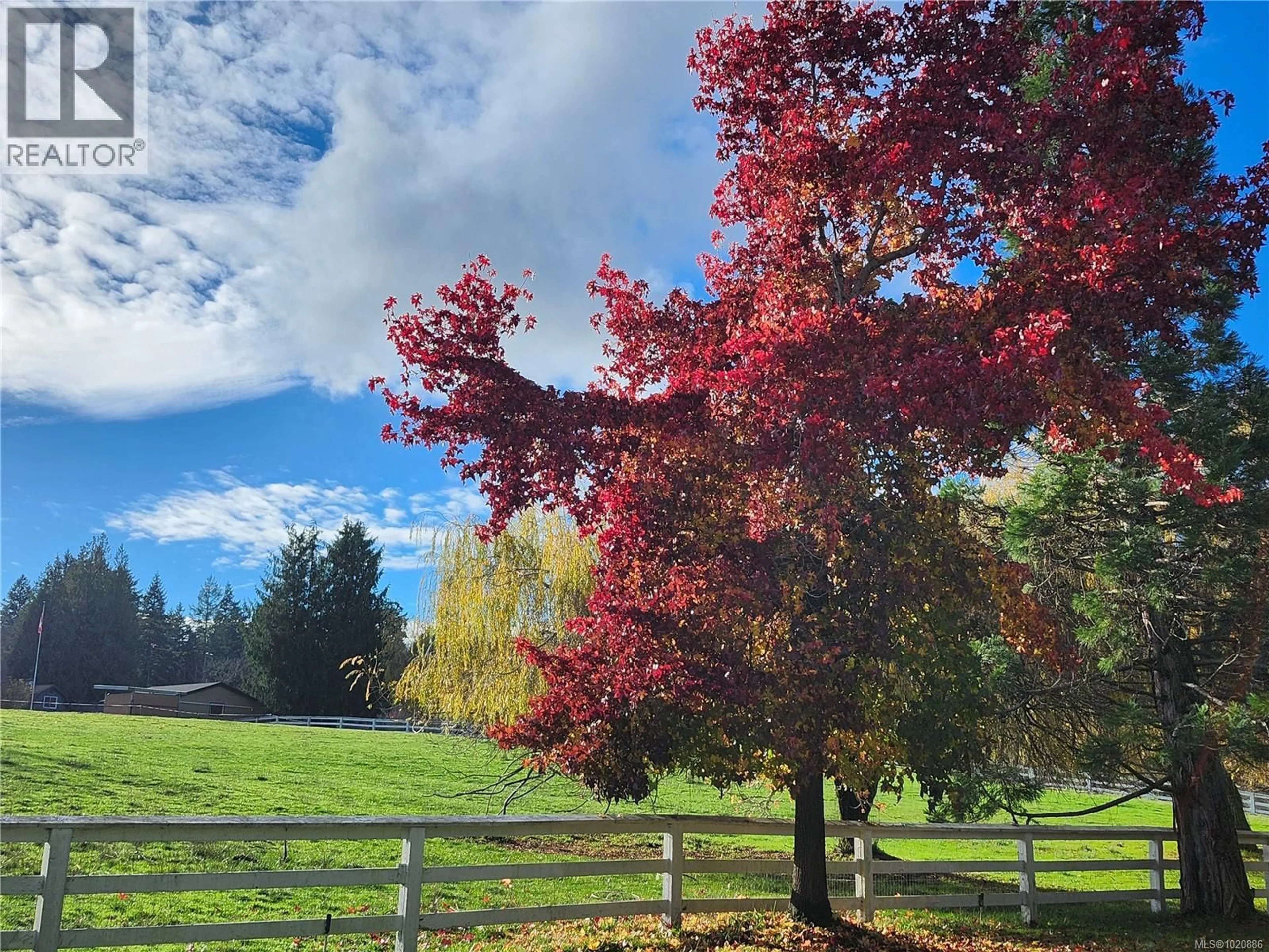 A pic from outside/outdoor area/front of a property/back of a property/a pic from drone, forest/trees view for 1252 TATLOW ROAD, North Saanich British Columbia V8L5R3