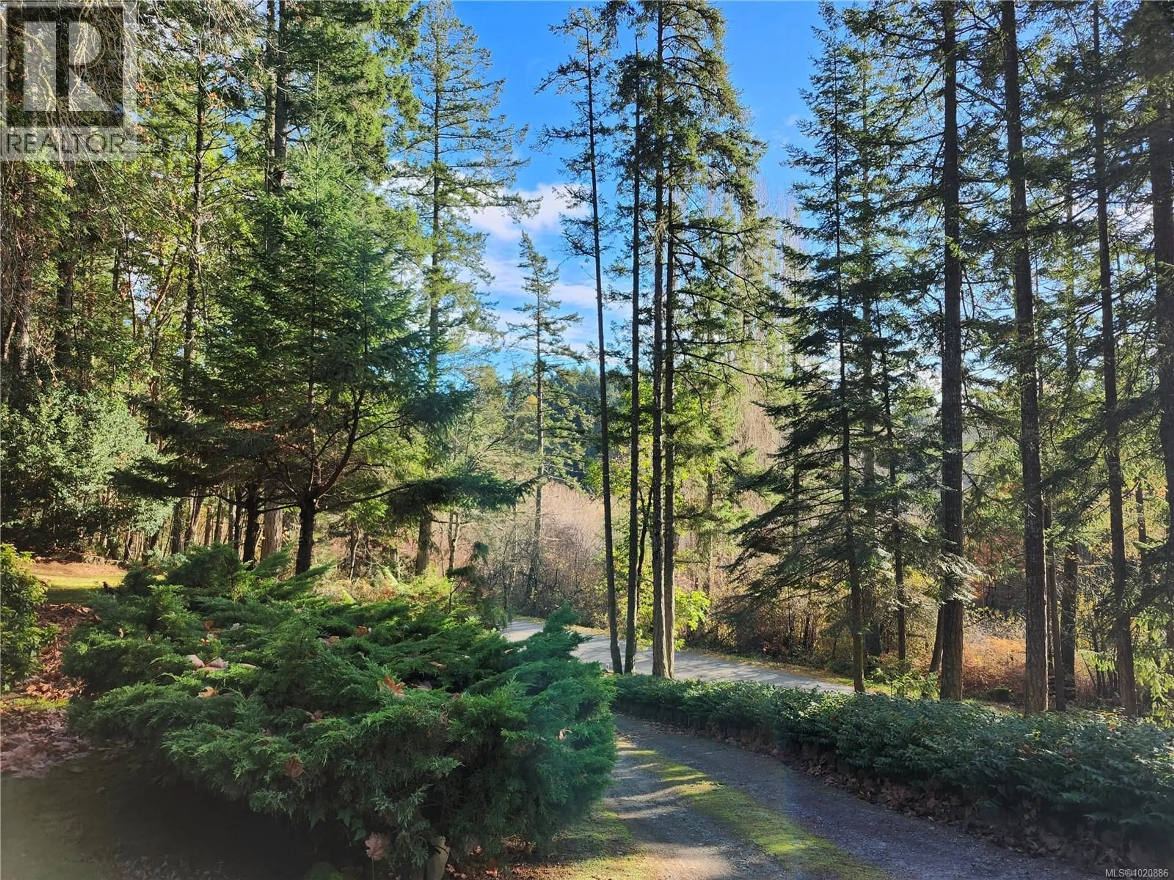 A pic from outside/outdoor area/front of a property/back of a property/a pic from drone, forest/trees view for 1252 TATLOW ROAD, North Saanich British Columbia V8L5R3
