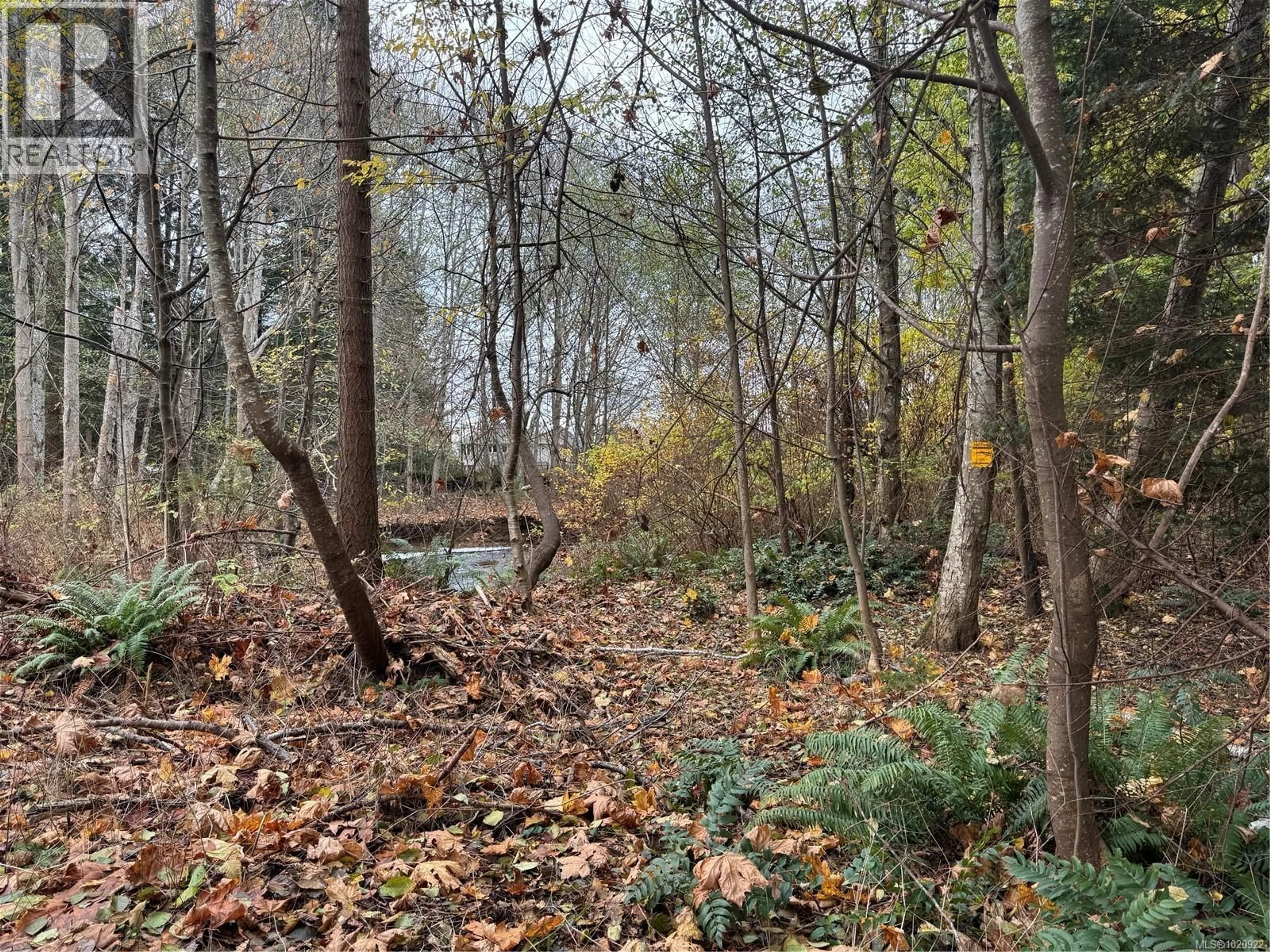 Blurry image for B - 513 ERICKSON ROAD, Campbell River British Columbia V9W1S8