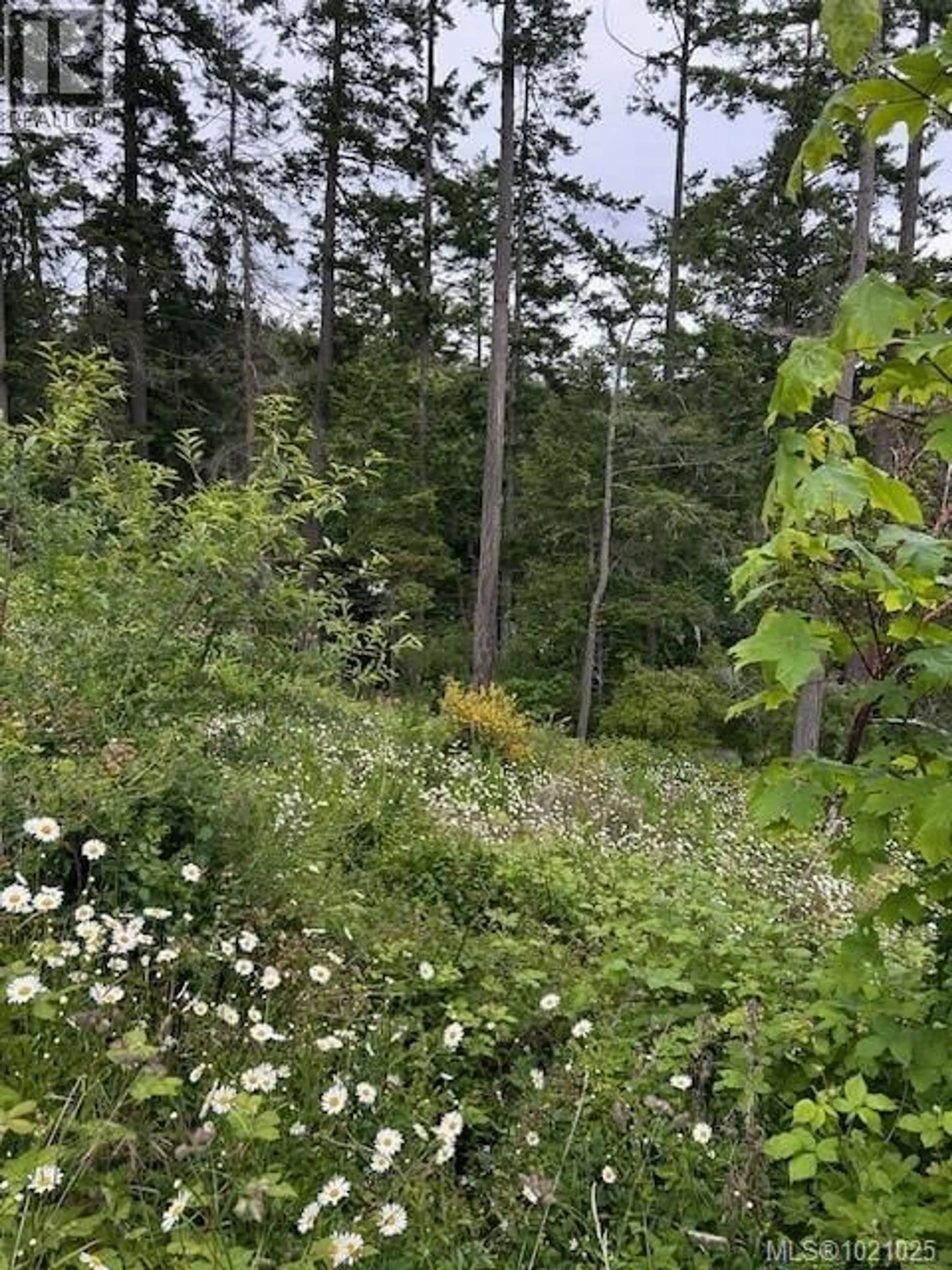 Unknown for 3857 DUKE ROAD, Metchosin British Columbia V9C4B2