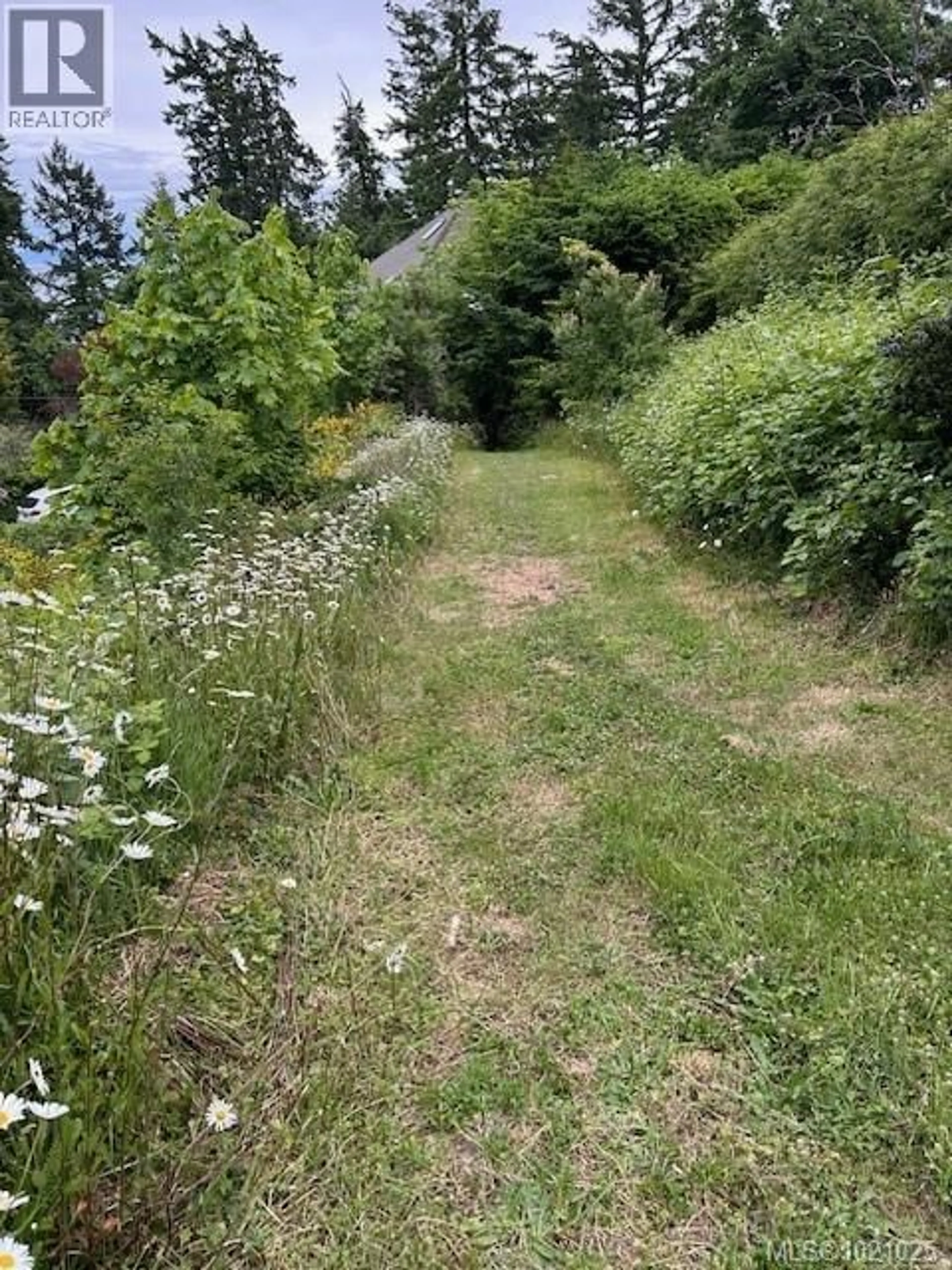 A pic from outside/outdoor area/front of a property/back of a property/a pic from drone, forest/trees view for 3857 DUKE ROAD, Metchosin British Columbia V9C4B2