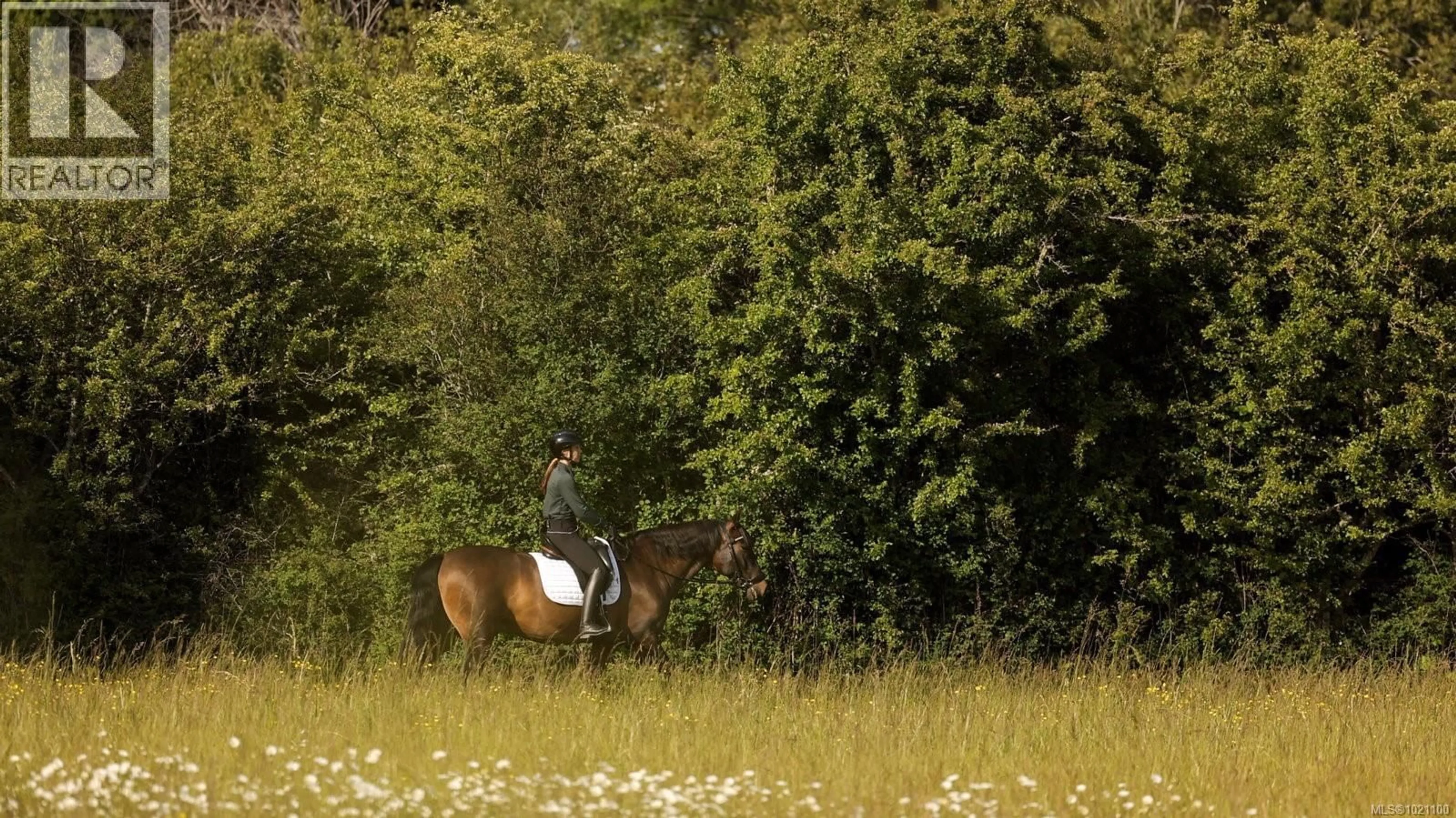 Blurry image for 9775 WEST SAANICH ROAD, North Saanich British Columbia V8L5T5