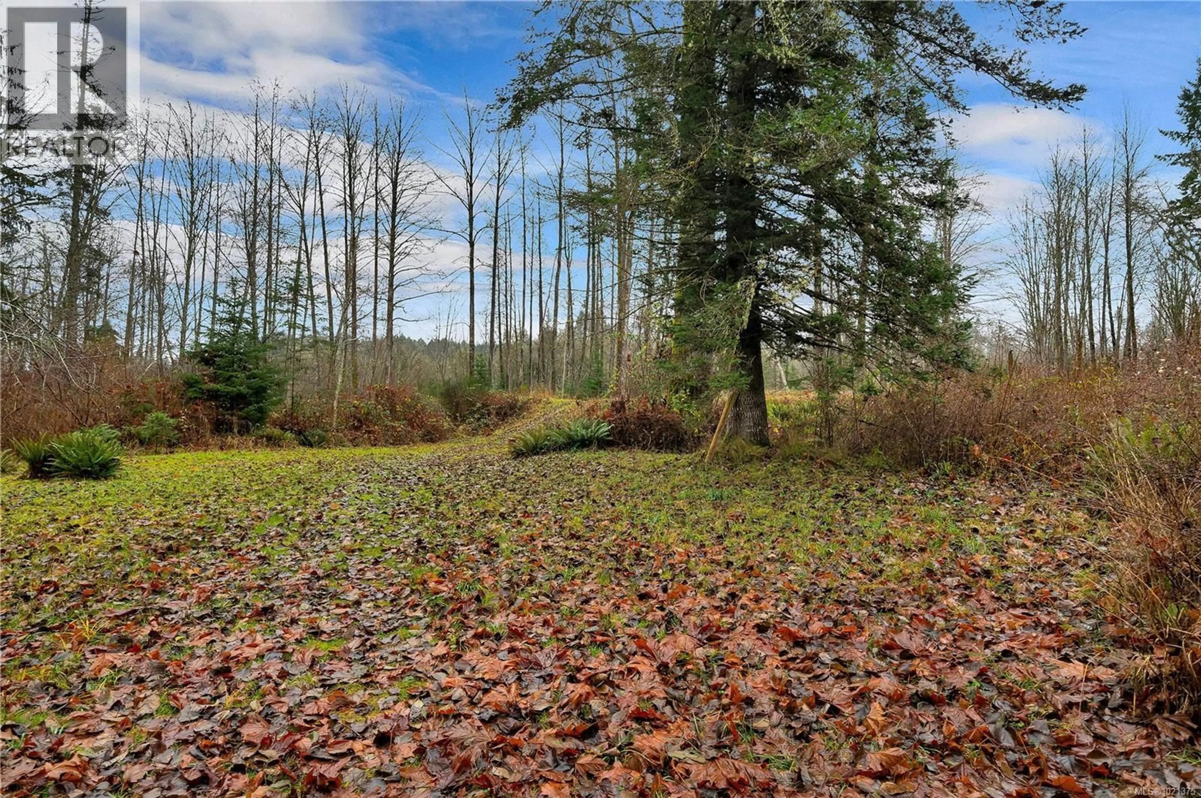 A pic from outside/outdoor area/front of a property/back of a property/a pic from drone, forest/trees view for 2509 GLENMORE ROAD, Campbell River British Columbia V9H1C9