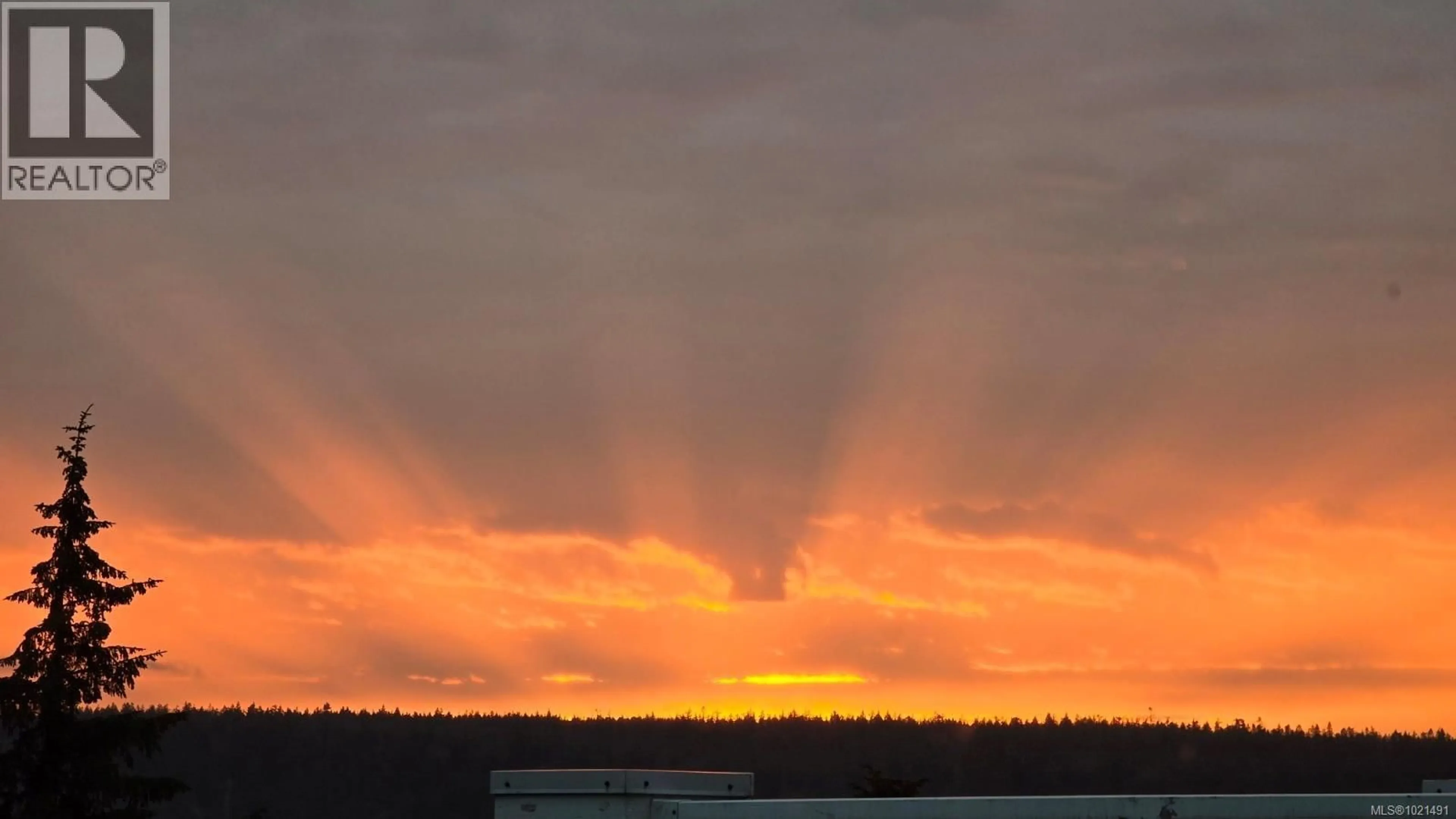 Blurry image for 318 - 350 ISLAND HIGHWAY SOUTH, Campbell River British Columbia V9W1A5