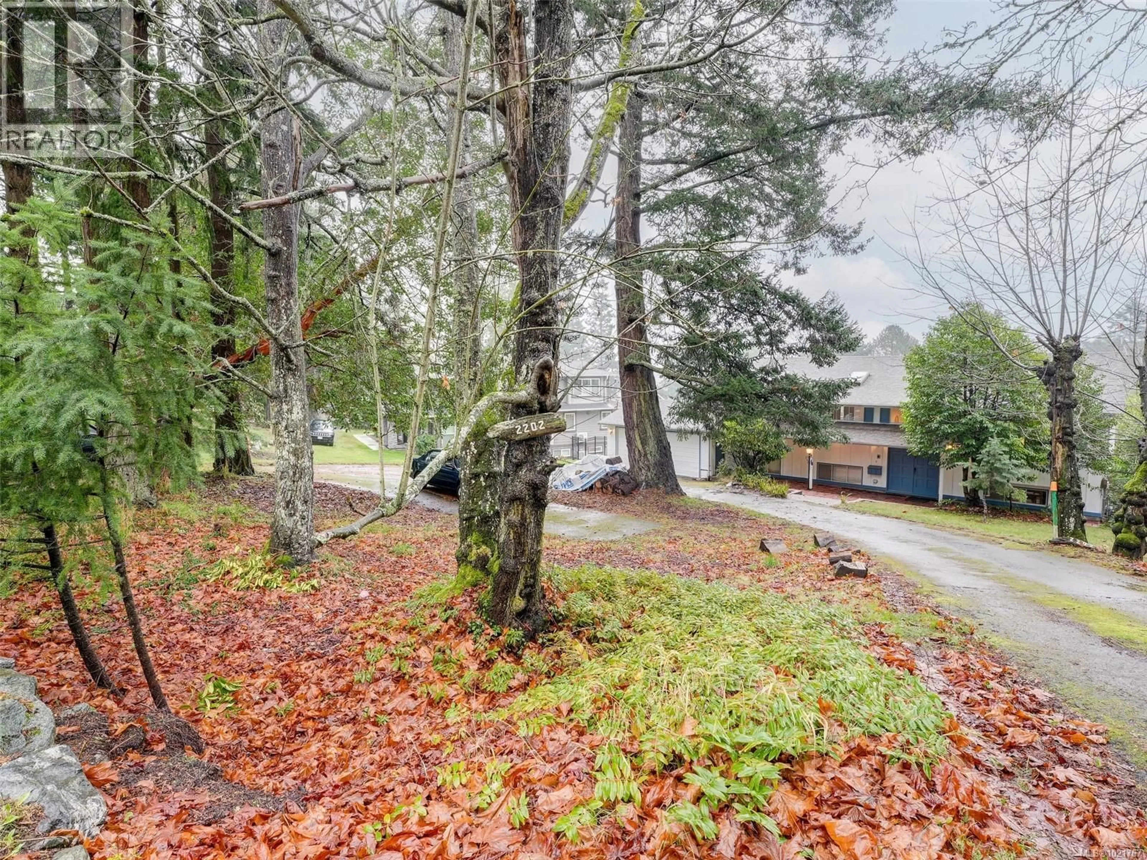 A pic from outside/outdoor area/front of a property/back of a property/a pic from drone, forest/trees view for 2202 ARBUTUS ROAD, Saanich British Columbia V8N1V3