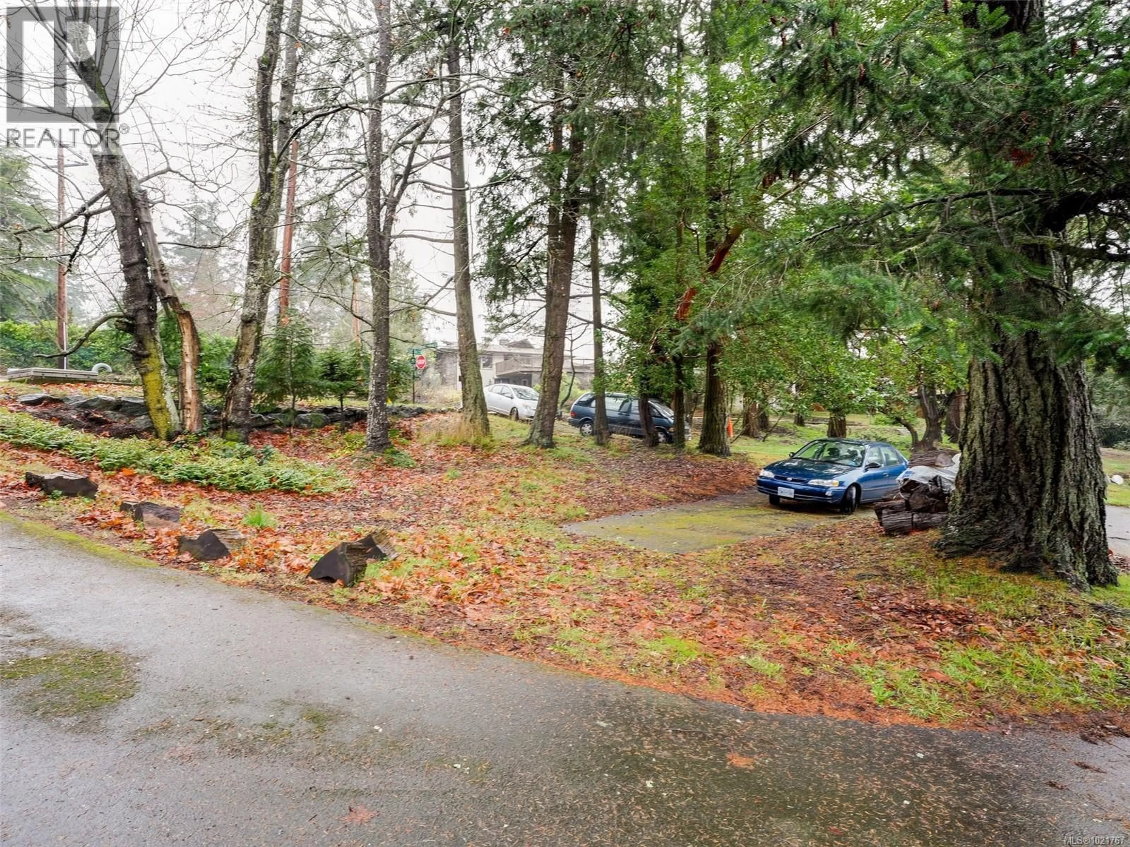 A pic from outside/outdoor area/front of a property/back of a property/a pic from drone, forest/trees view for 2202 ARBUTUS ROAD, Saanich British Columbia V8N1V3