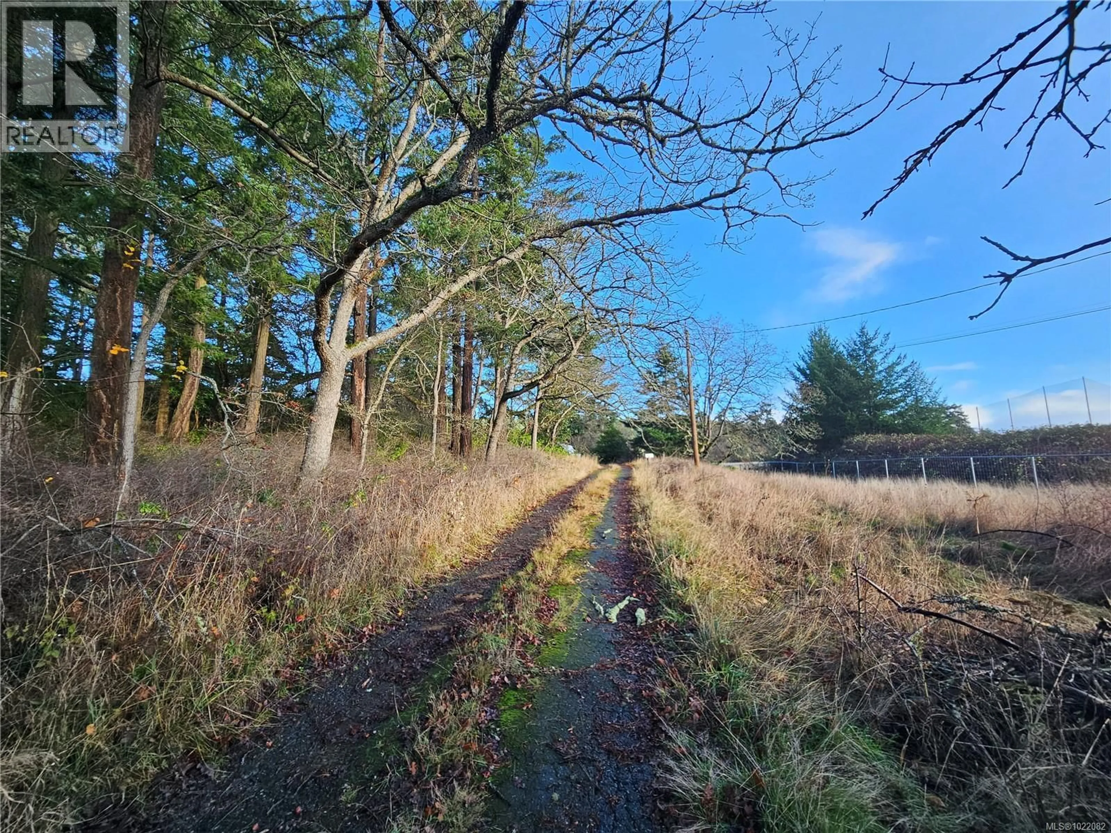A pic from outside/outdoor area/front of a property/back of a property/a pic from drone, forest/trees view for 4299 BLENKINSOP ROAD, Saanich British Columbia V8X2C3