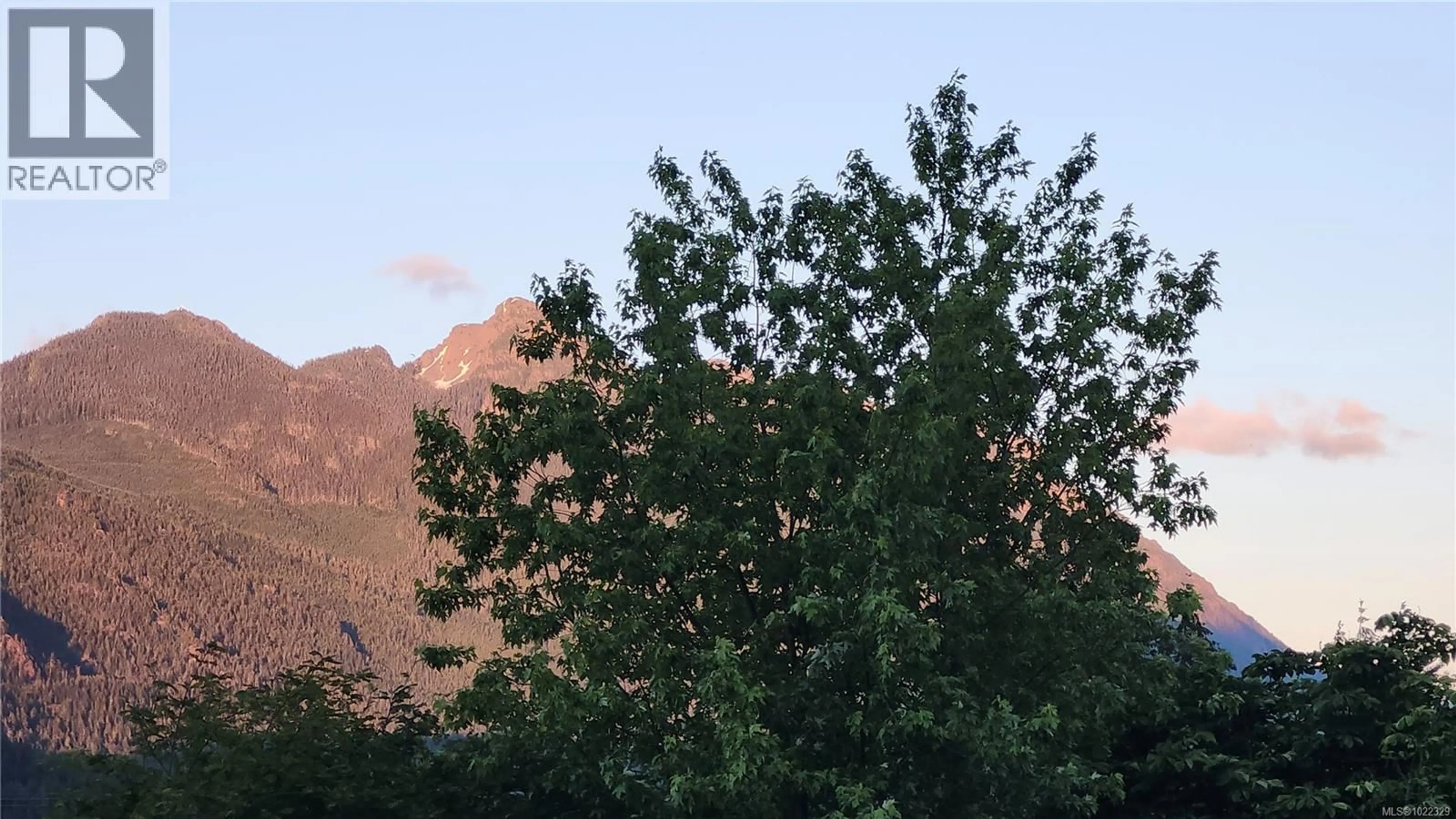 Blurry image for 261 AMBLESIDE DRIVE, Sayward British Columbia V0P1R0