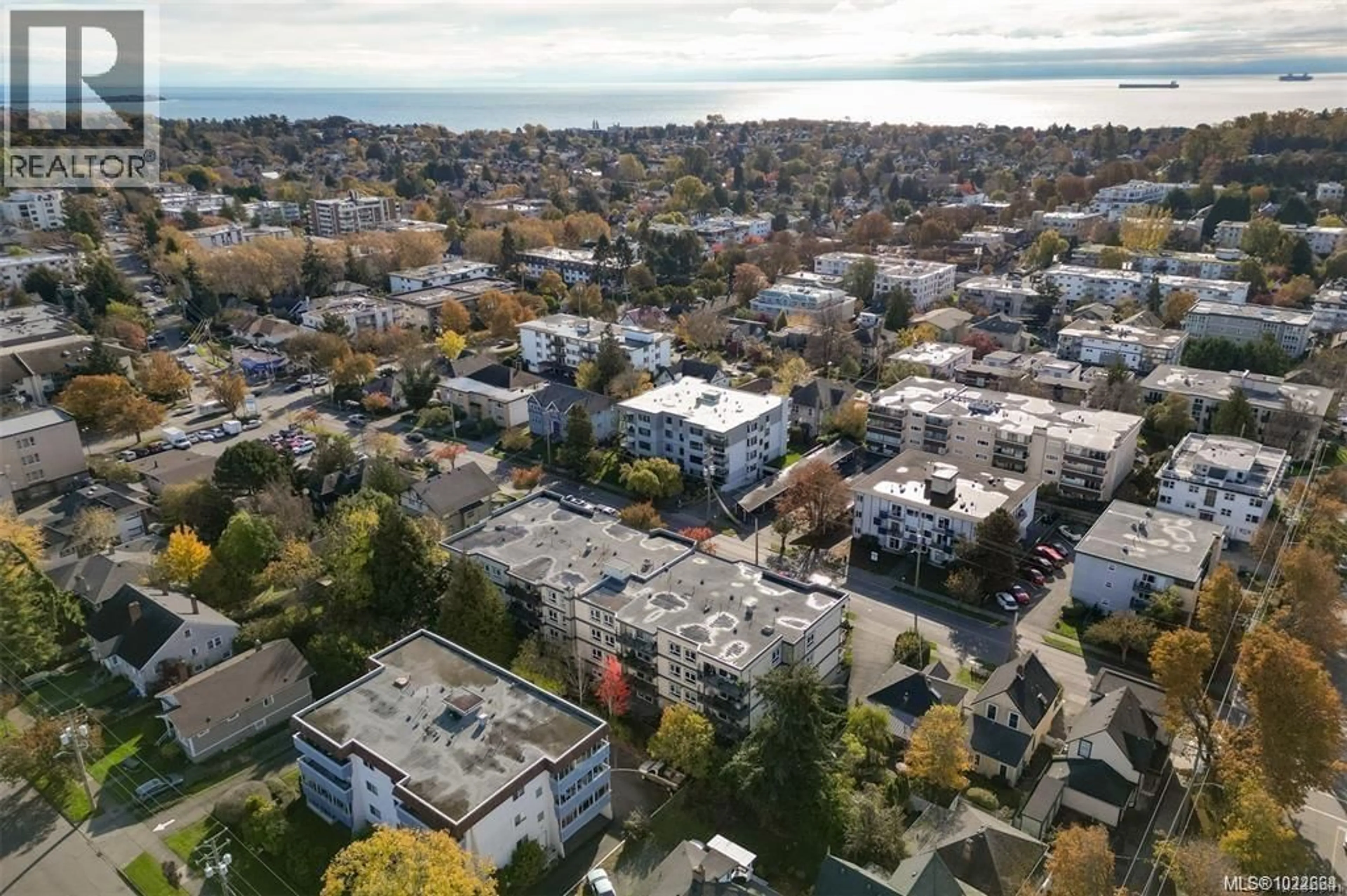 A pic from outside/outdoor area/front of a property/back of a property/a pic from drone, street for 204 - 1024 FAIRFIELD ROAD, Victoria British Columbia V8V3A5