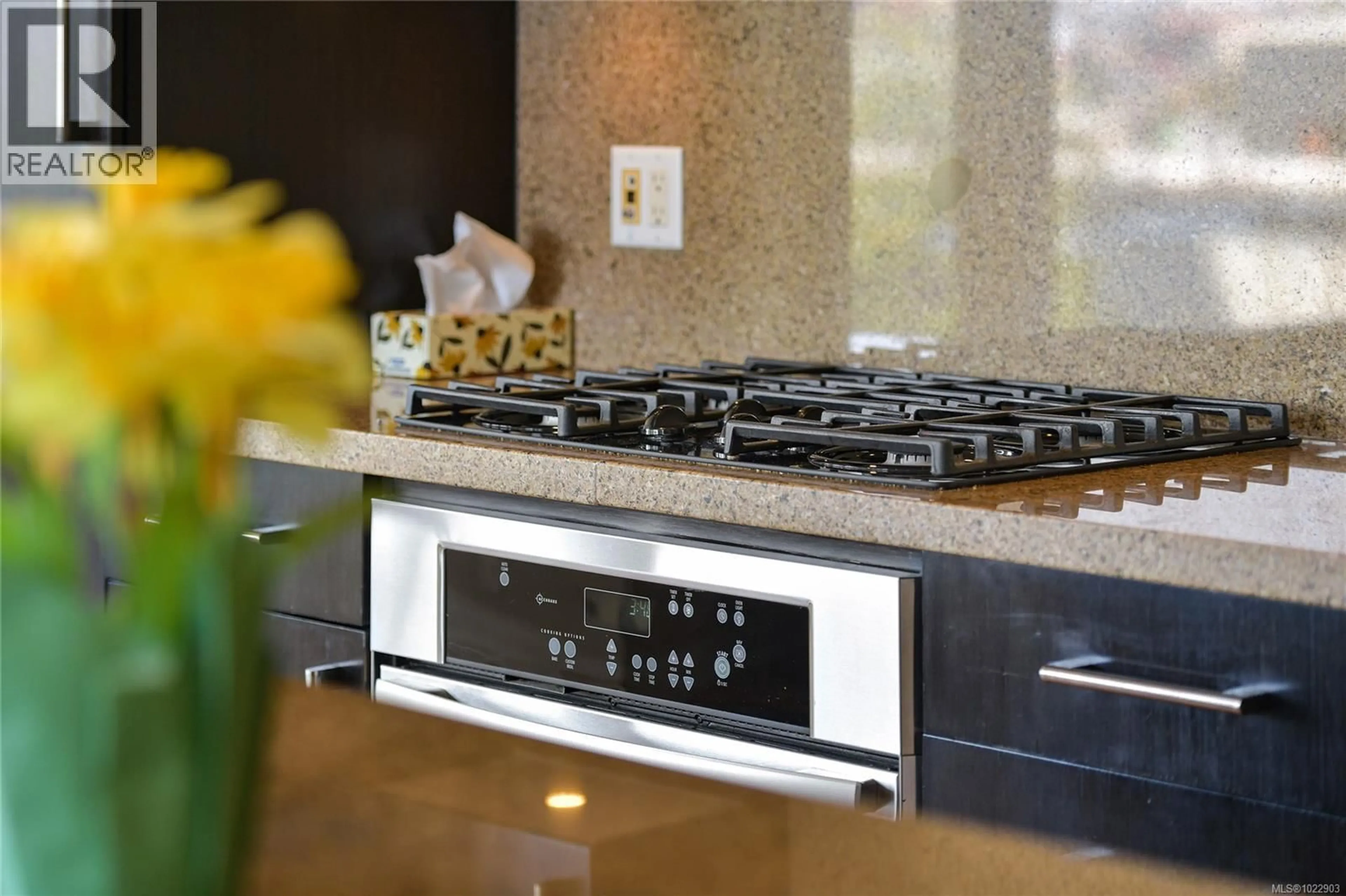 Contemporary kitchen, ceramic/tile floor for 204 - 379 TYEE ROAD, Victoria British Columbia V9A0B4