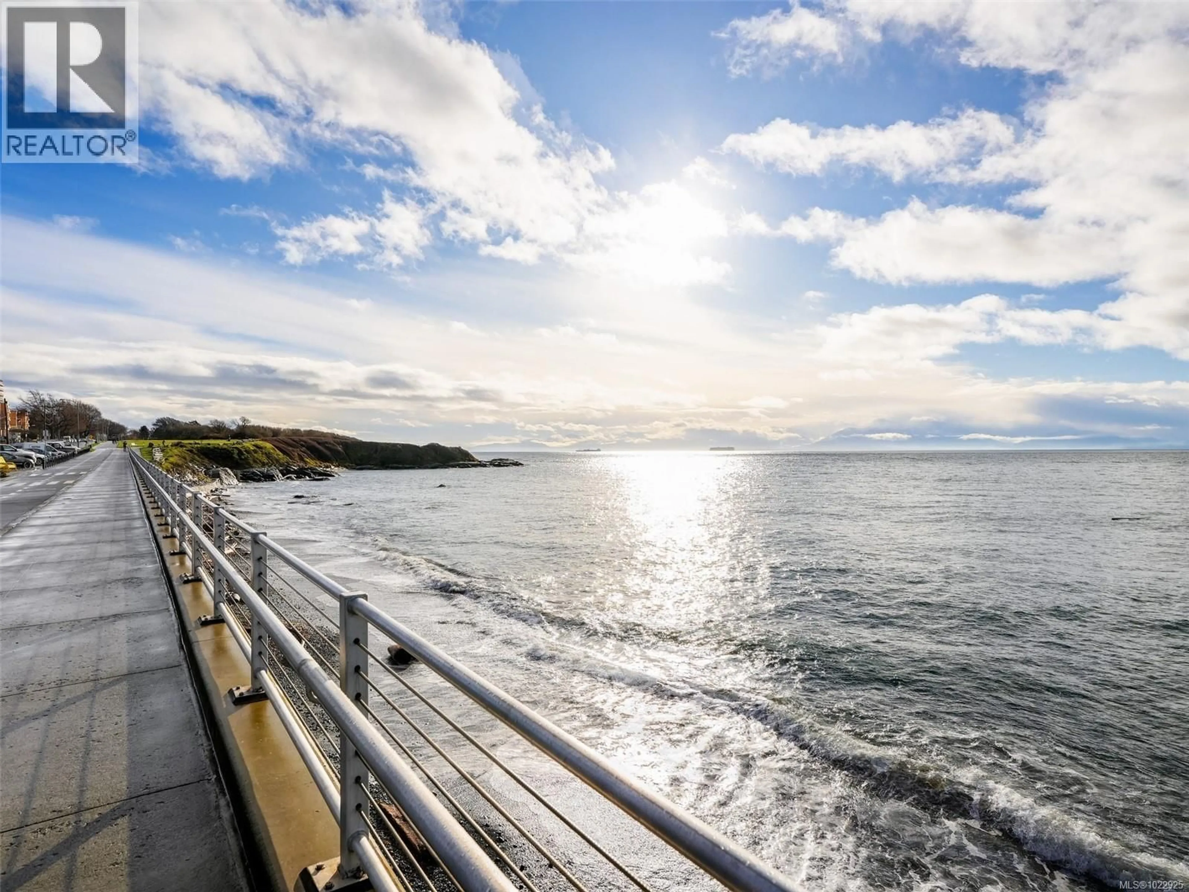 Blurry image for 202 - 360 DALLAS ROAD, Victoria British Columbia V8V1A8