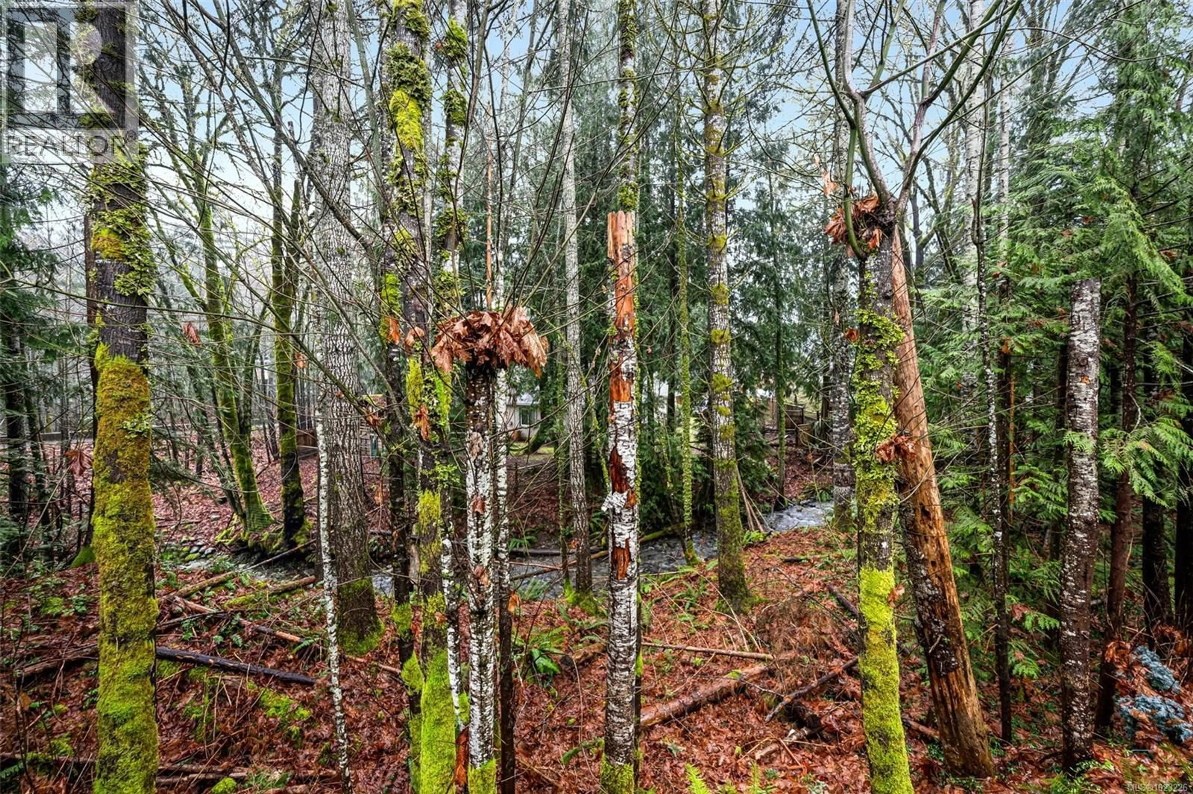 A pic from outside/outdoor area/front of a property/back of a property/a pic from drone, forest/trees view for 50 - 211 MADILL ROAD, Lake Cowichan British Columbia V0R2G1