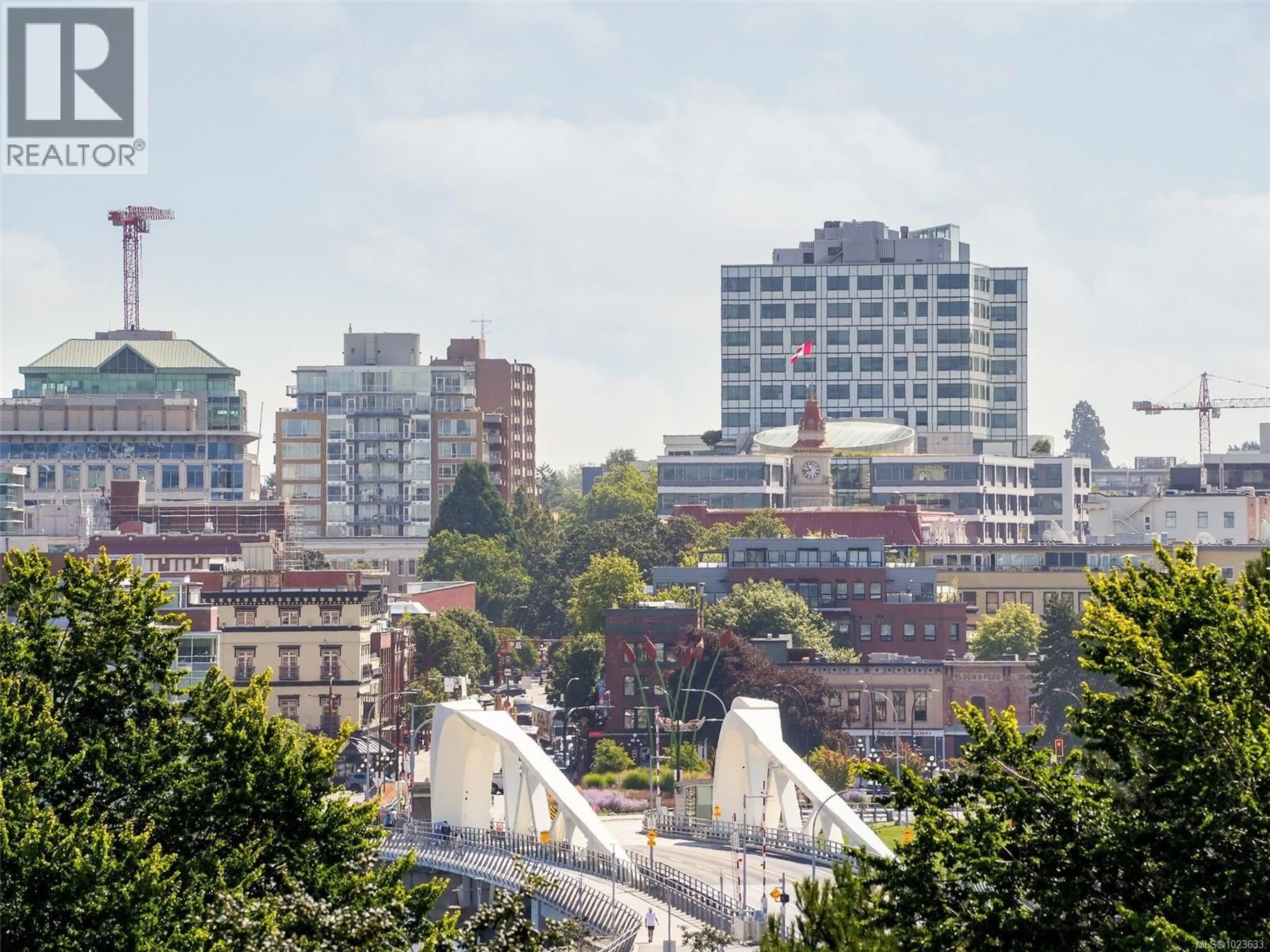 Blurry image for 206 - 100 SAGHALIE ROAD, Victoria British Columbia V9A0A1