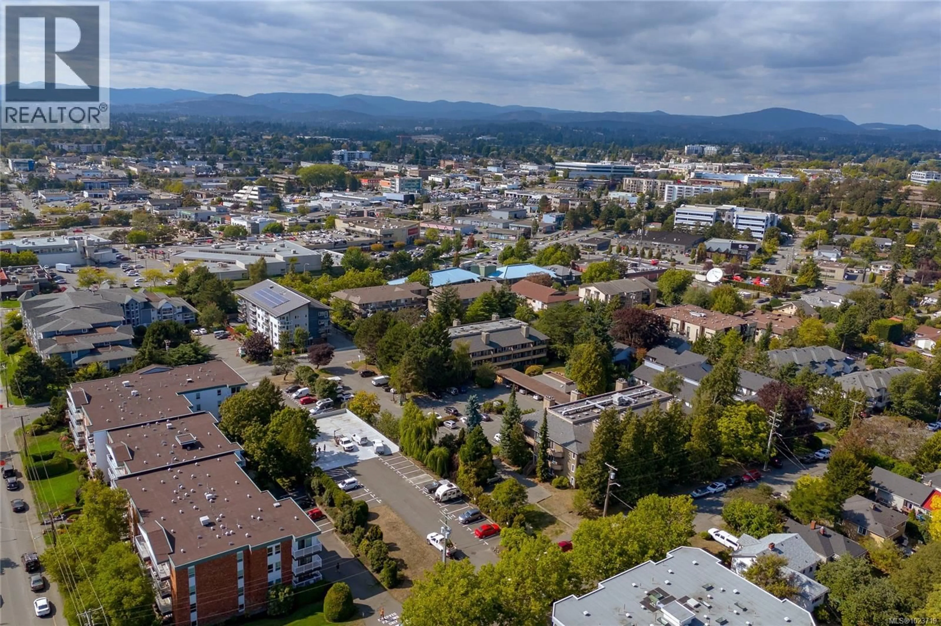 A pic from outside/outdoor area/front of a property/back of a property/a pic from drone, mountain view for 310 - 3215 ALDER STREET, Saanich British Columbia V8X1P3