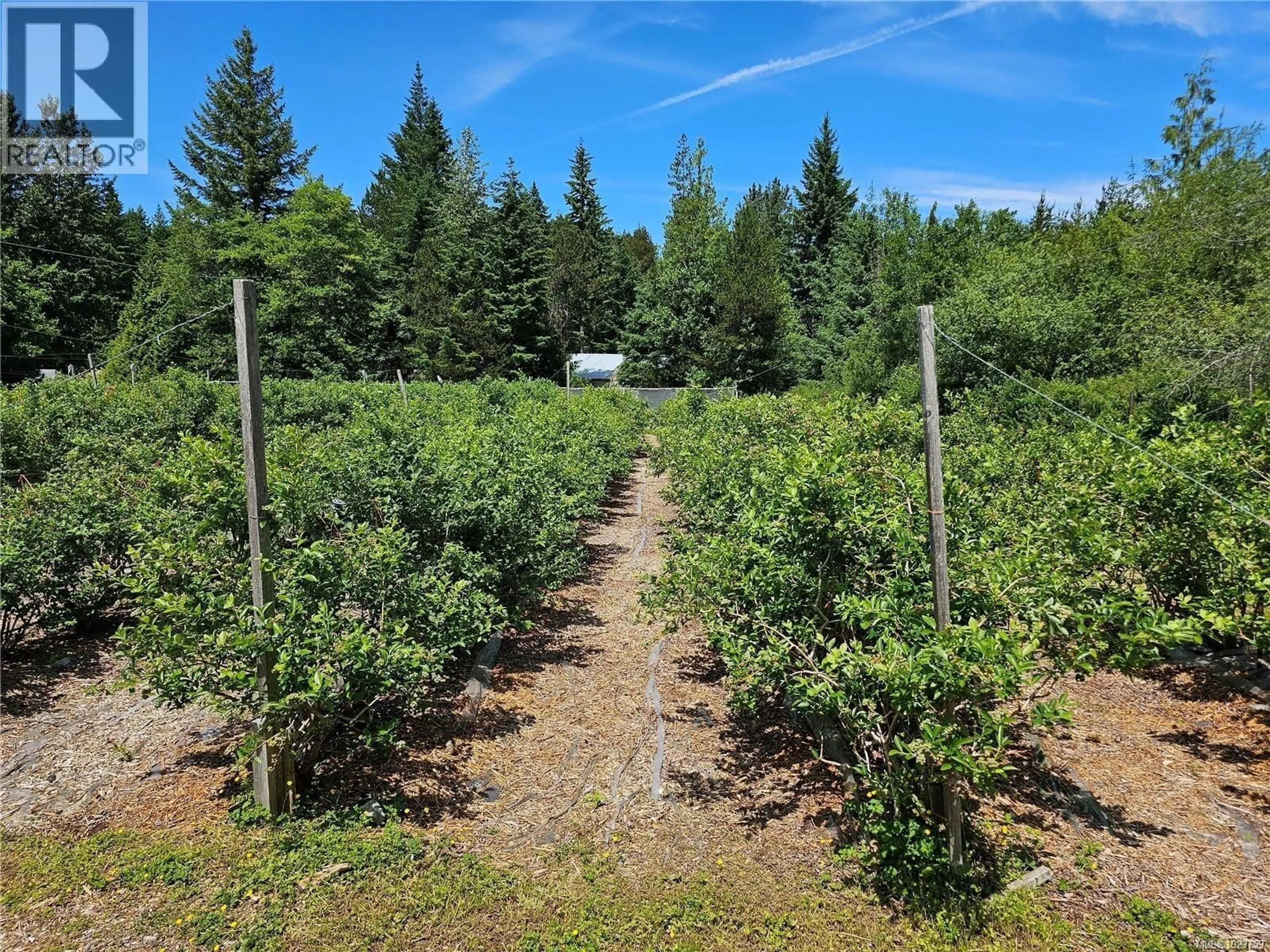 A pic from outside/outdoor area/front of a property/back of a property/a pic from drone, forest/trees view for 2156 COLEMAN ROAD, Courtenay British Columbia V9J1P2