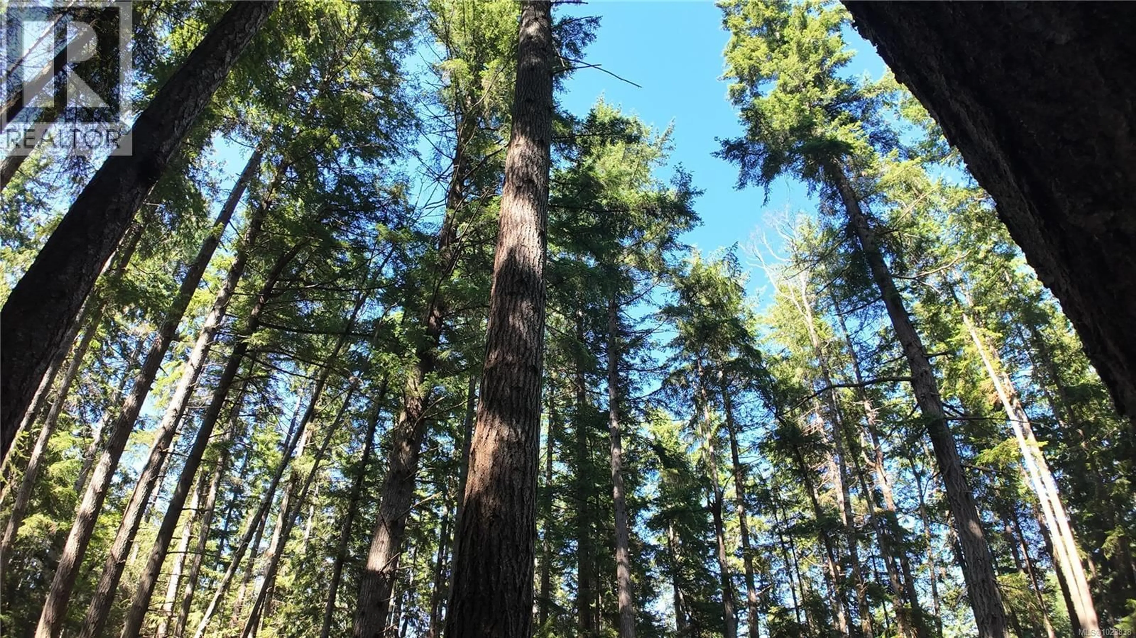 Blurry image for 4480 STRACHAN ROAD, Hornby Island British Columbia V0R1Z0